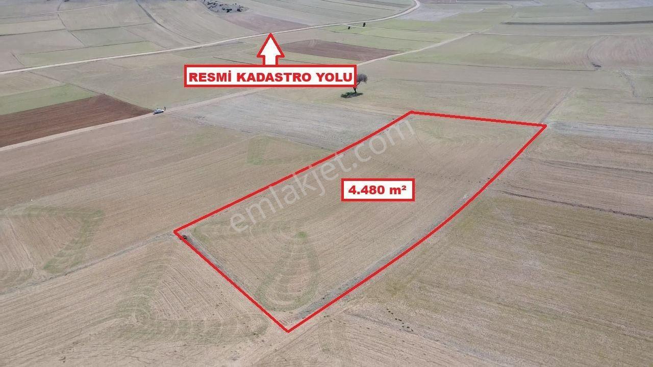 Kütahya Altıntaş Üçhüyük 4480 M2 Satılık Tarla - Görsel 9