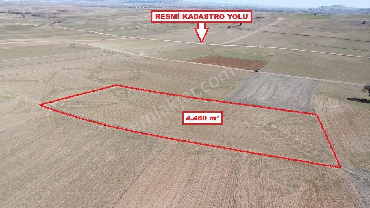 Kütahya Altıntaş Üçhüyük 4480 M2 Satılık Tarla - Görsel 10