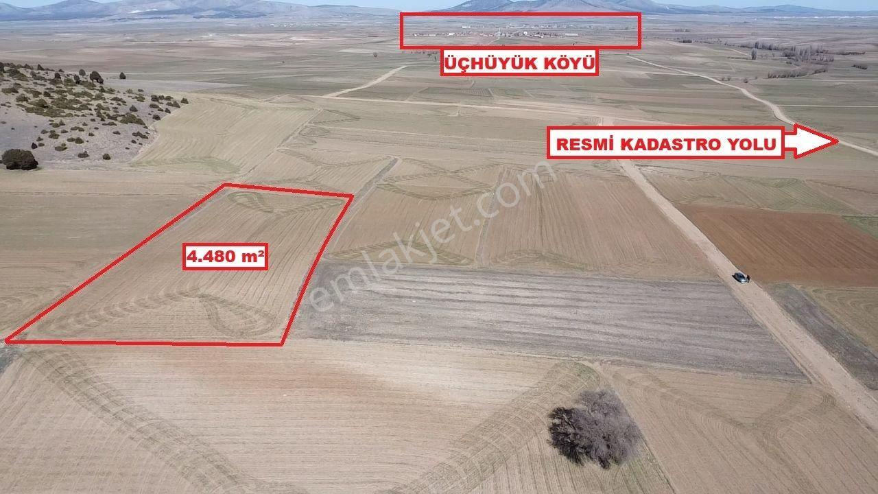 Kütahya Altıntaş Üçhüyük 4480 M2 Satılık Tarla - Görsel 15