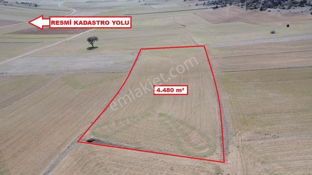 Kütahya Altıntaş Üçhüyük 4480 M2 Satılık Tarla - Görsel 16