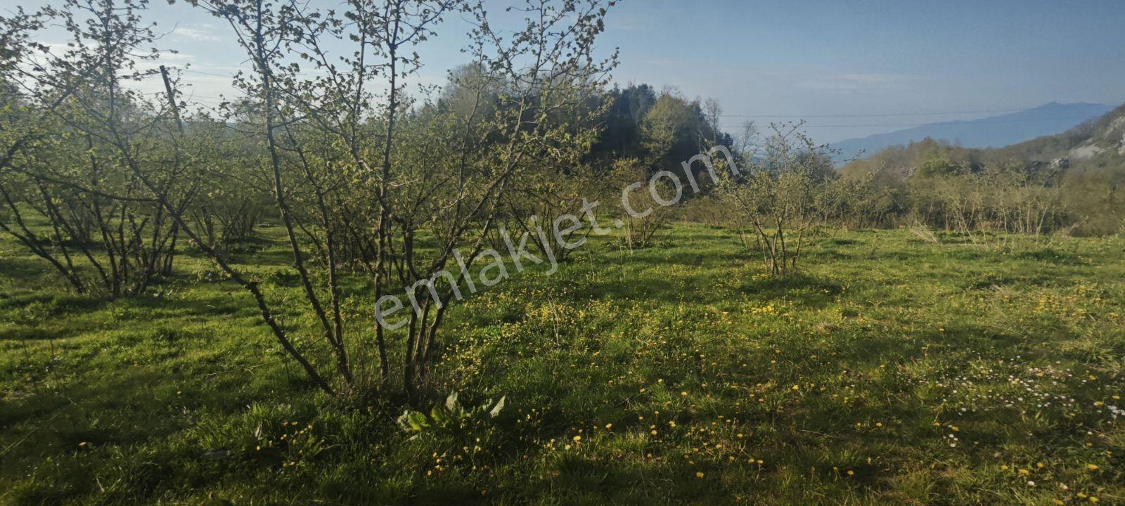 İmarlı Manzaralı Düz Arsa Müstakil 4 Parsel Çıkıyor - Görsel 7