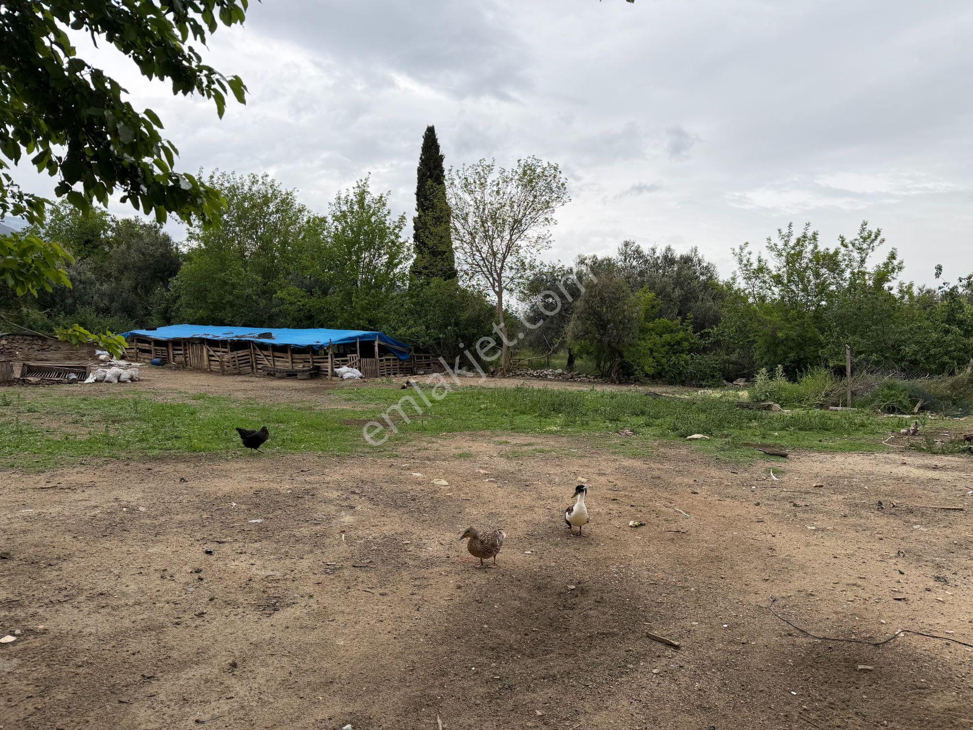 Mera Emlaktan Gürede Tam Müstakil 1 Villalık 350m2 İmarlı Arsa - Görsel 13