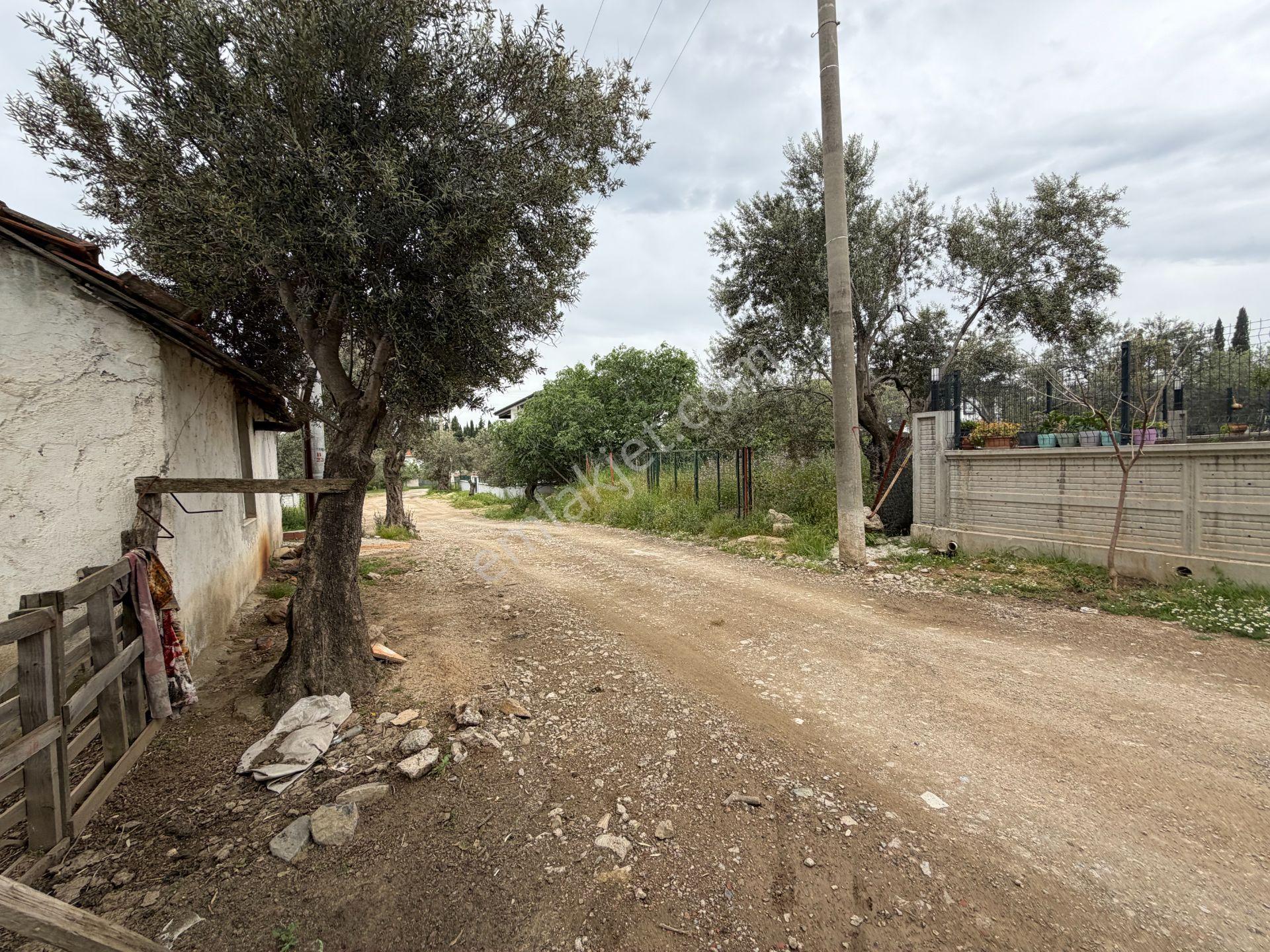 Mera Emlaktan Gürede Tam Müstakil 1 Villalık 350m2 İmarlı Arsa - Görsel 23