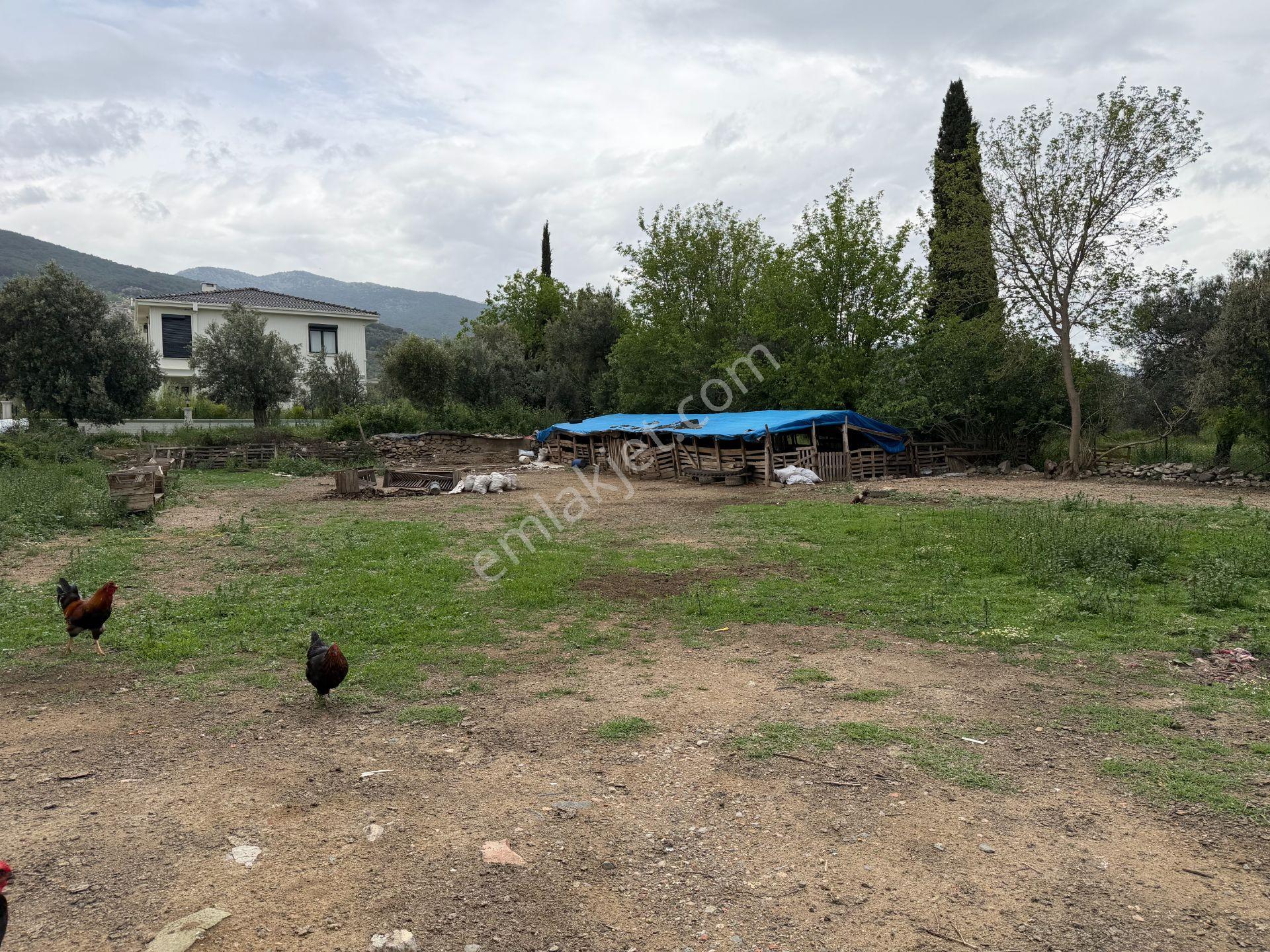 Mera Emlaktan Gürede Tam Müstakil 1 Villalık 350m2 İmarlı Arsa - Görsel 17