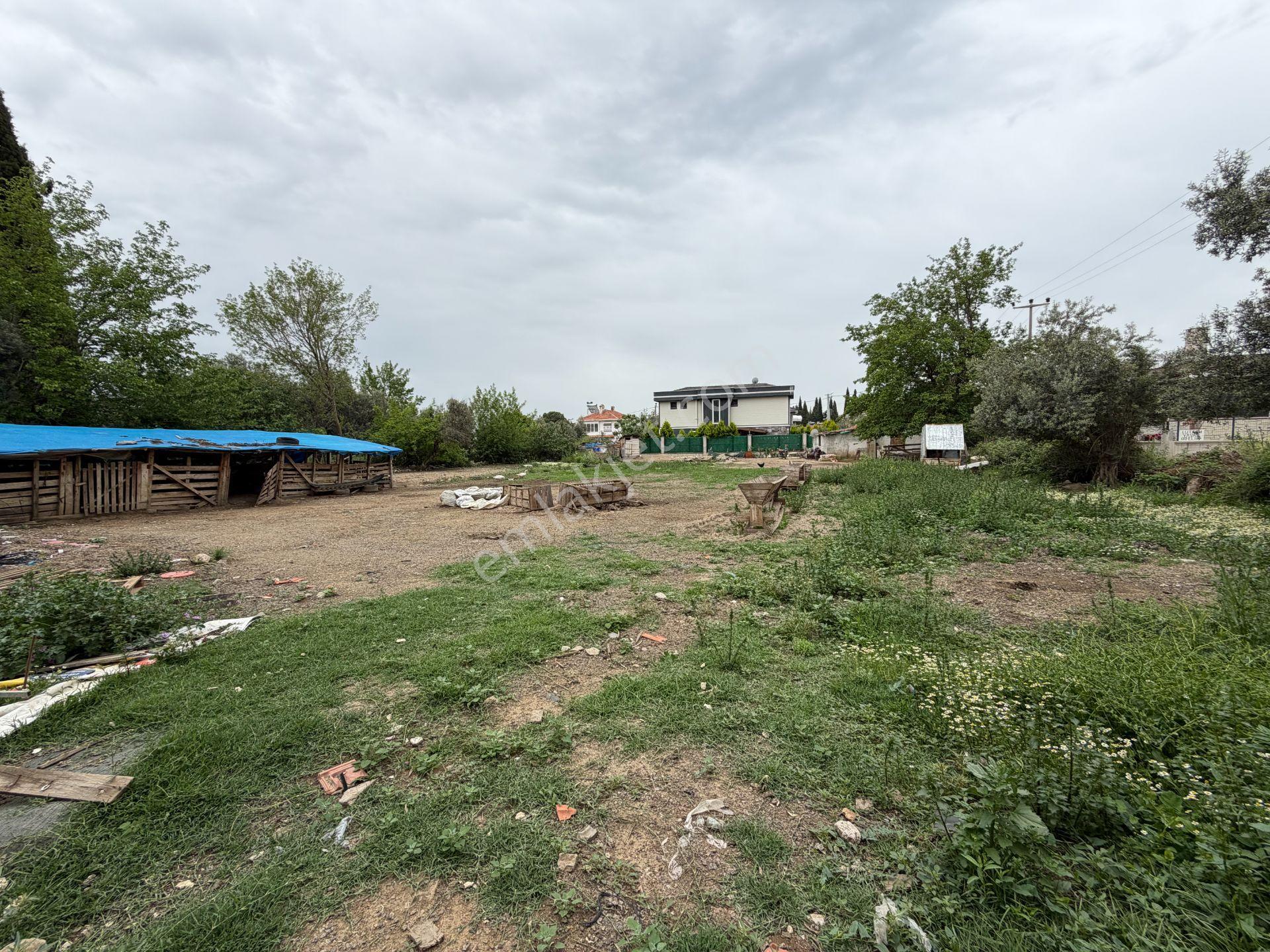 Mera Emlaktan Gürede Tam Müstakil 1 Villalık 350m2 İmarlı Arsa - Görsel 33