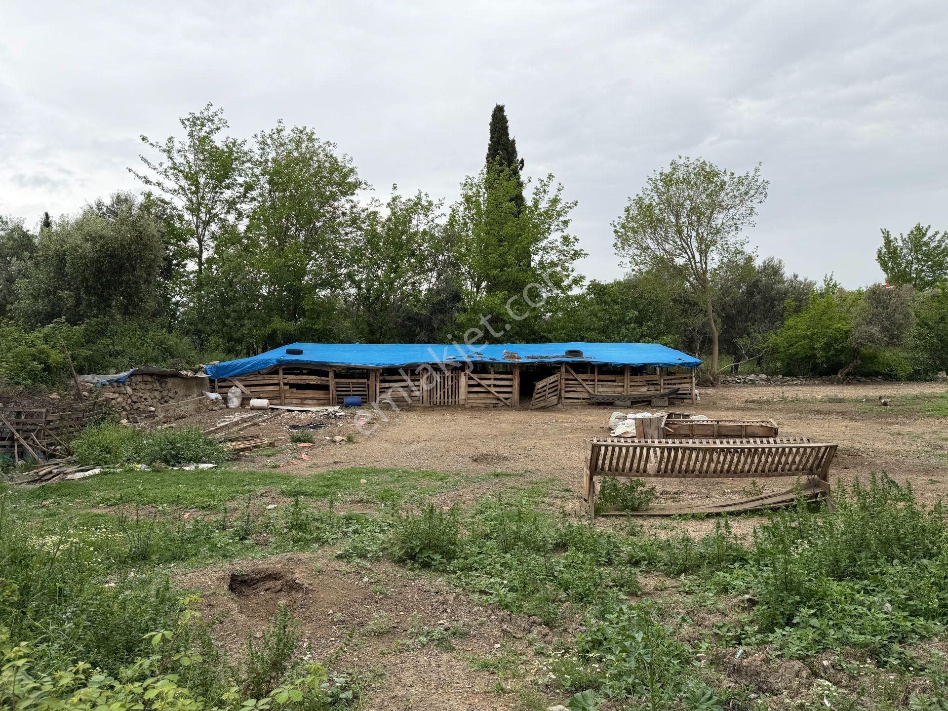 Mera Emlaktan Gürede Tam Müstakil 1 Villalık 350m2 İmarlı Arsa - Görsel 27