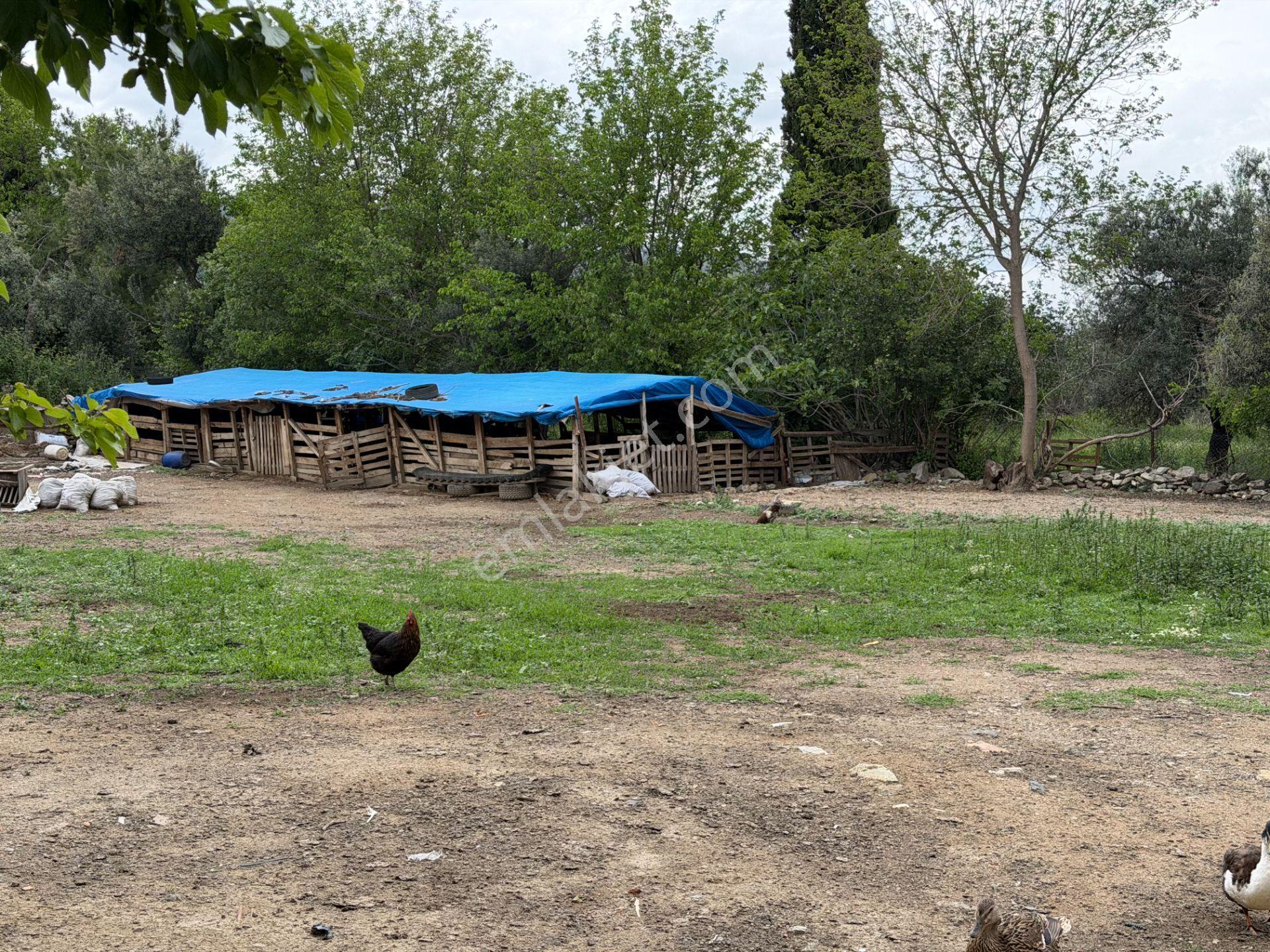 Mera Emlaktan Gürede Tam Müstakil 1 Villalık 350m2 İmarlı Arsa - Görsel 7