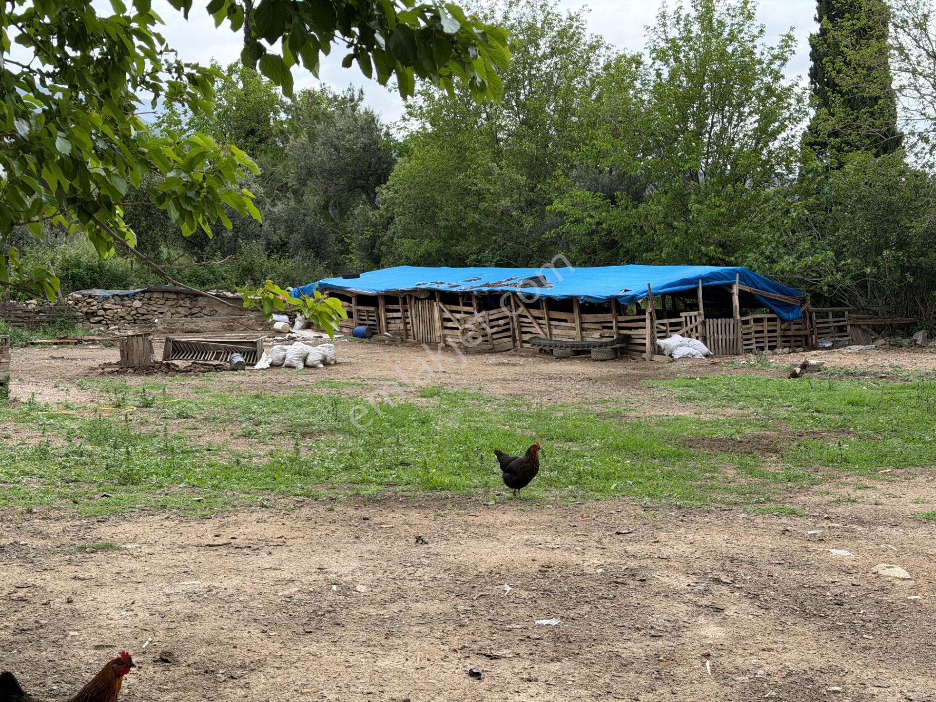 Mera Emlaktan Gürede Tam Müstakil 1 Villalık 350m2 İmarlı Arsa - Görsel 6