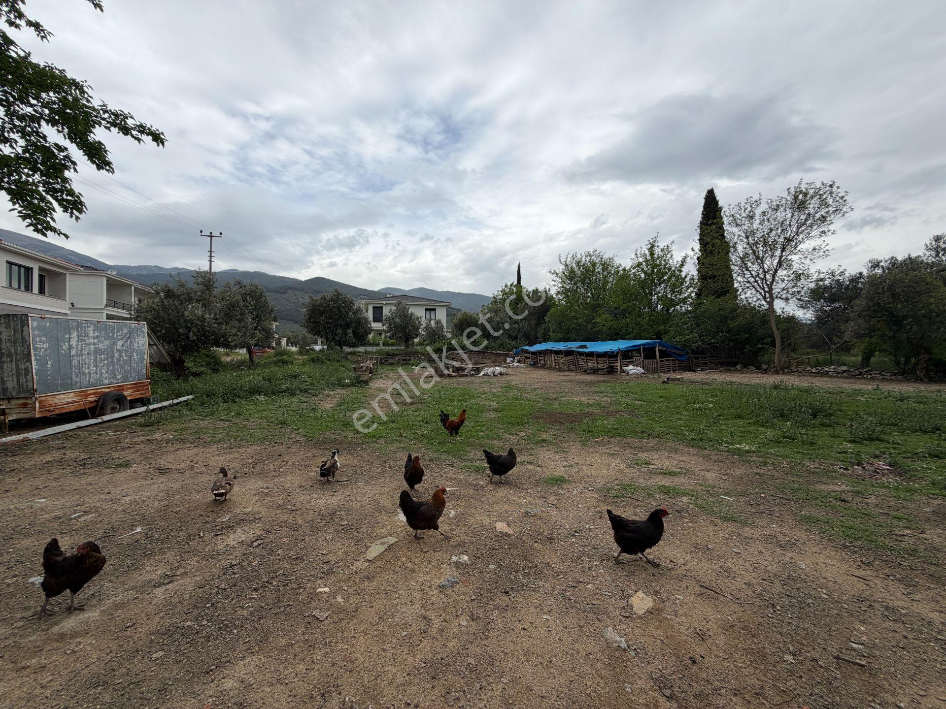 Mera Emlaktan Gürede Tam Müstakil 1 Villalık 350m2 İmarlı Arsa - Görsel 20