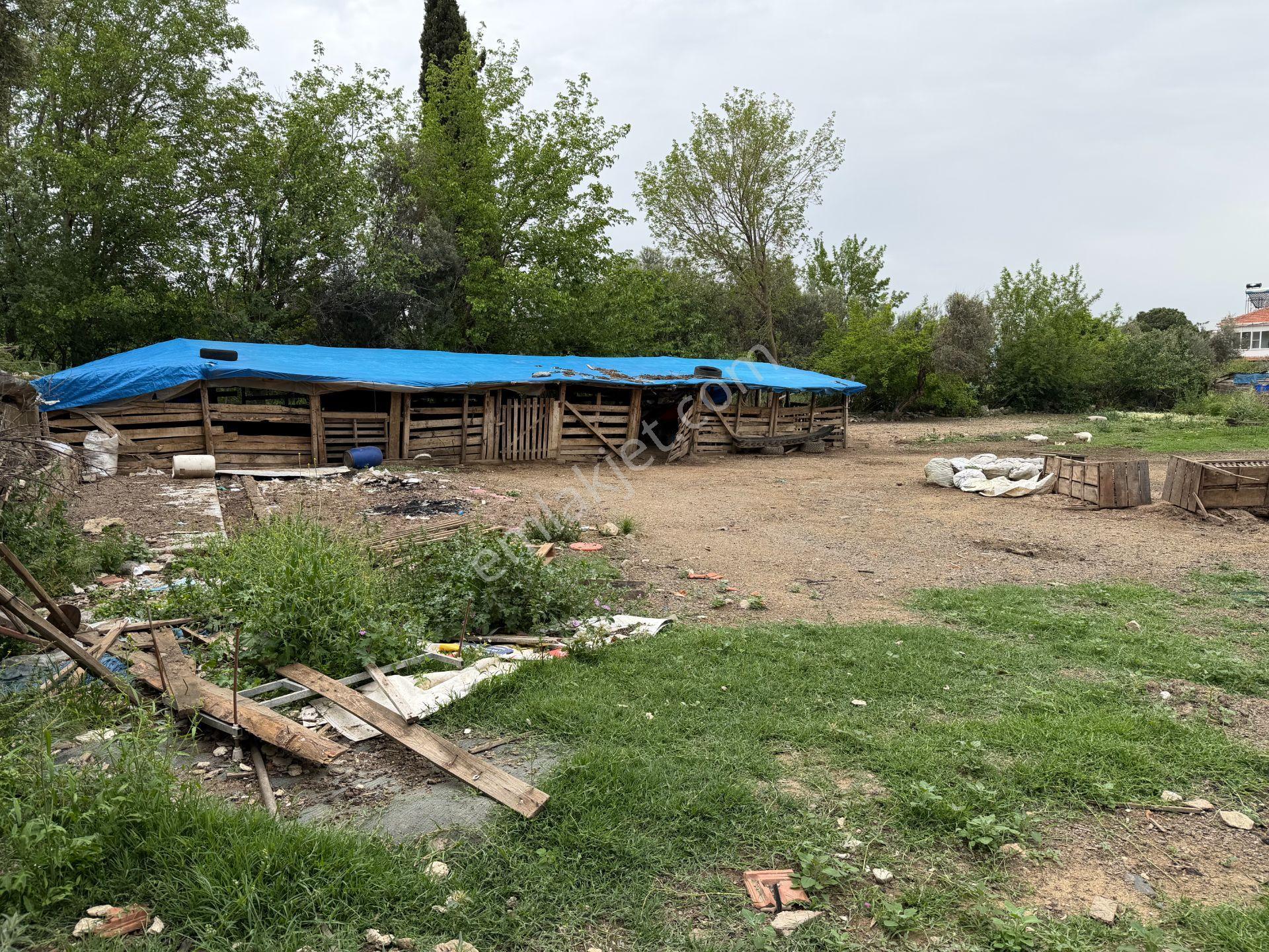 Mera Emlaktan Gürede Tam Müstakil 1 Villalık 350m2 İmarlı Arsa - Görsel 32