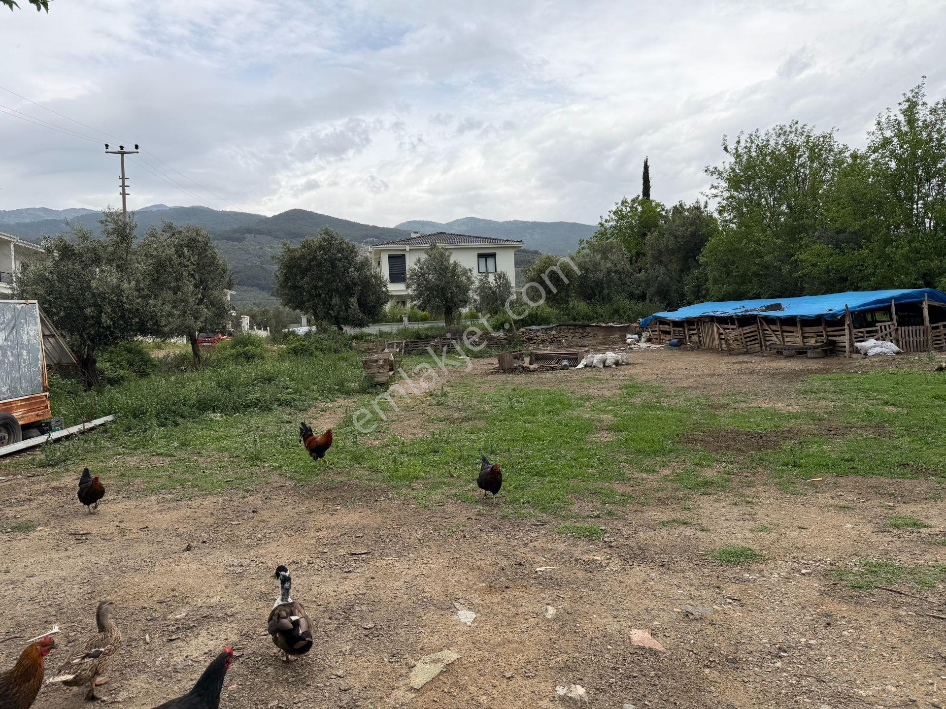 Mera Emlaktan Gürede Tam Müstakil 1 Villalık 350m2 İmarlı Arsa - Görsel 16