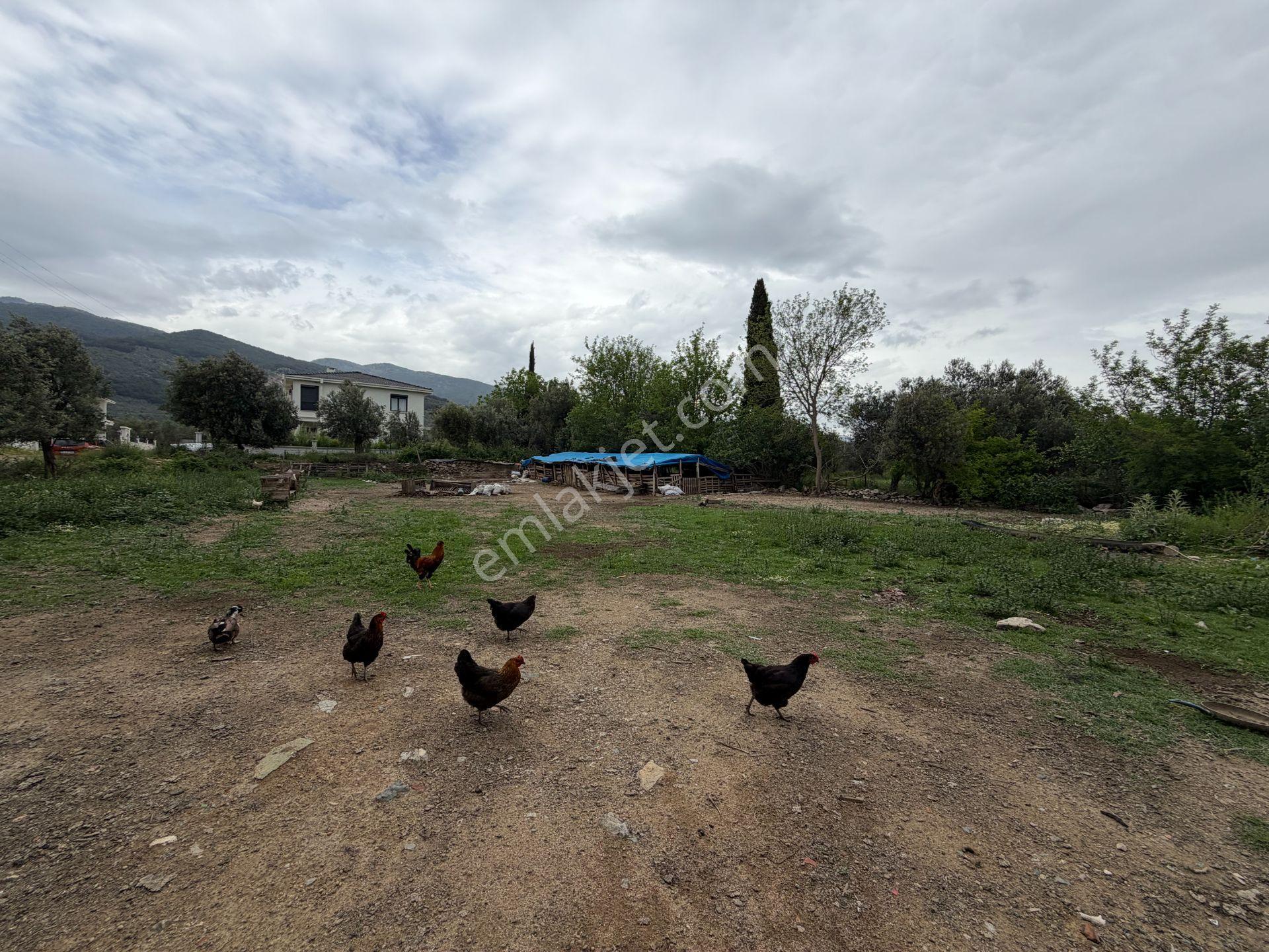 Mera Emlaktan Gürede Tam Müstakil 1 Villalık 350m2 İmarlı Arsa - Görsel 21