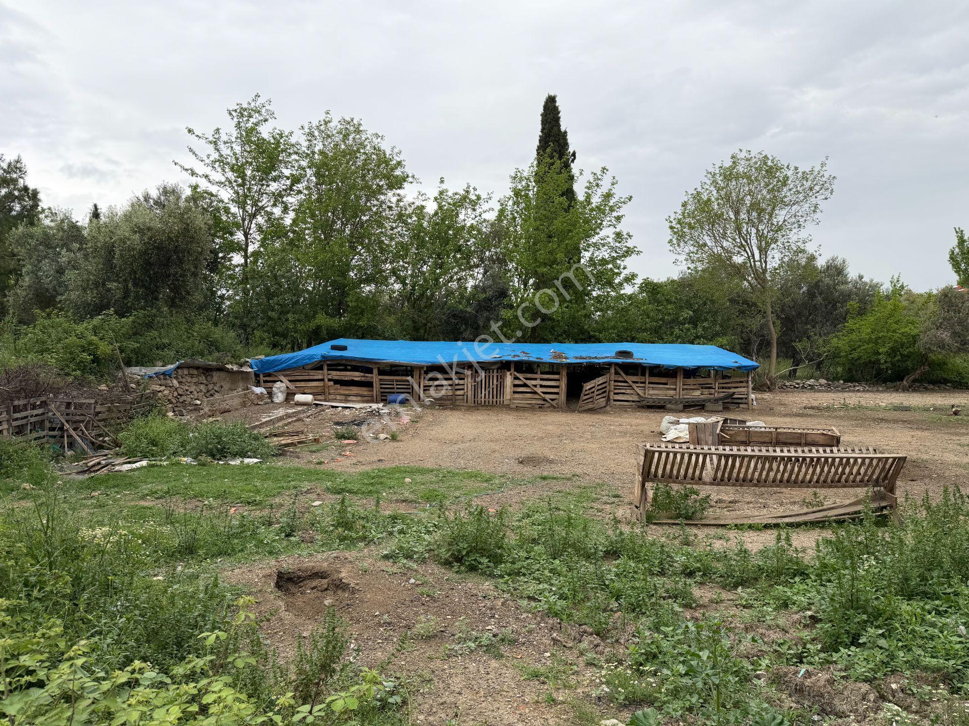 Mera Emlaktan Gürede Tam Müstakil 1 Villalık 350m2 İmarlı Arsa - Görsel 25