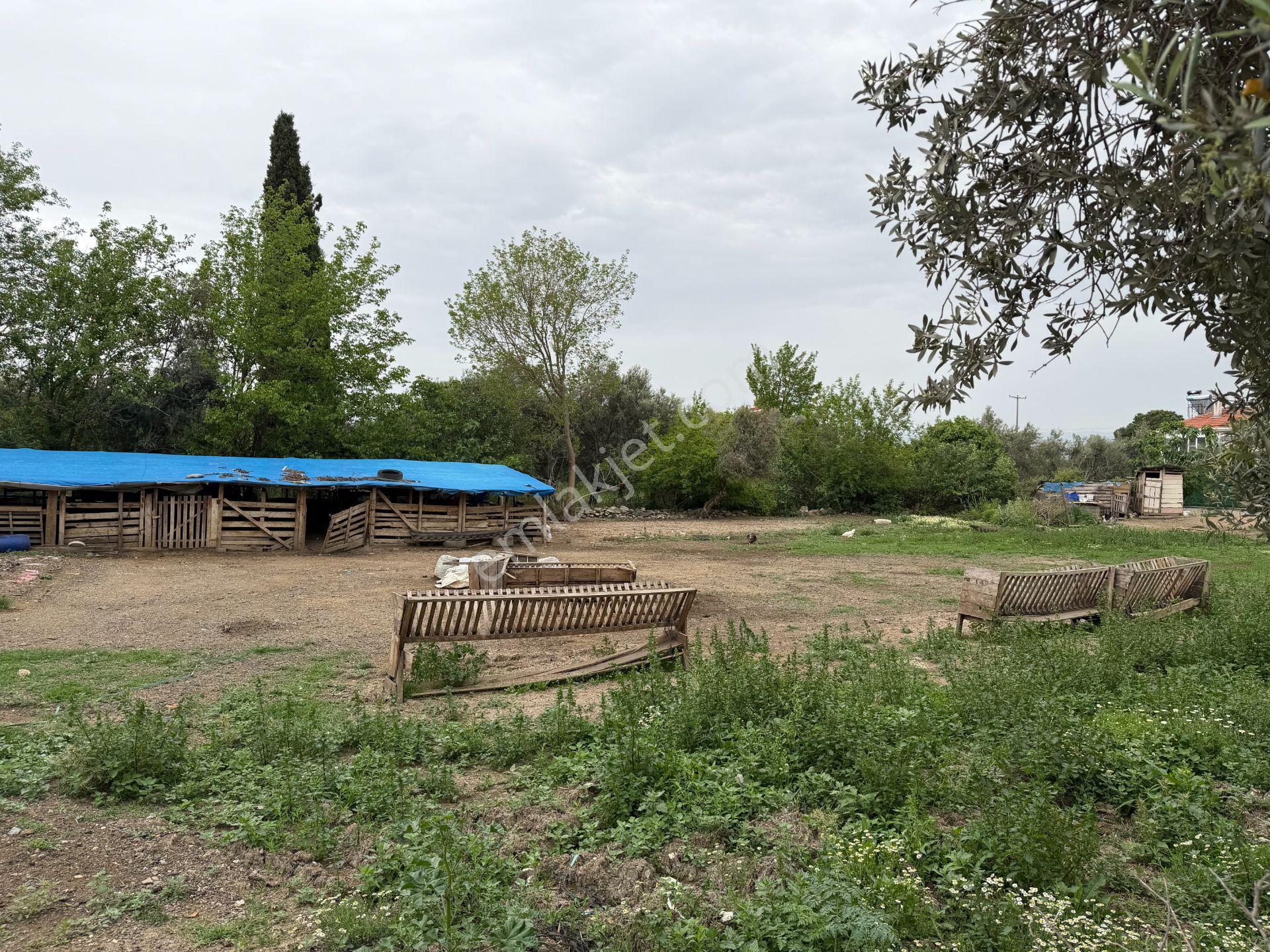 Mera Emlaktan Gürede Tam Müstakil 1 Villalık 350m2 İmarlı Arsa - Görsel 26