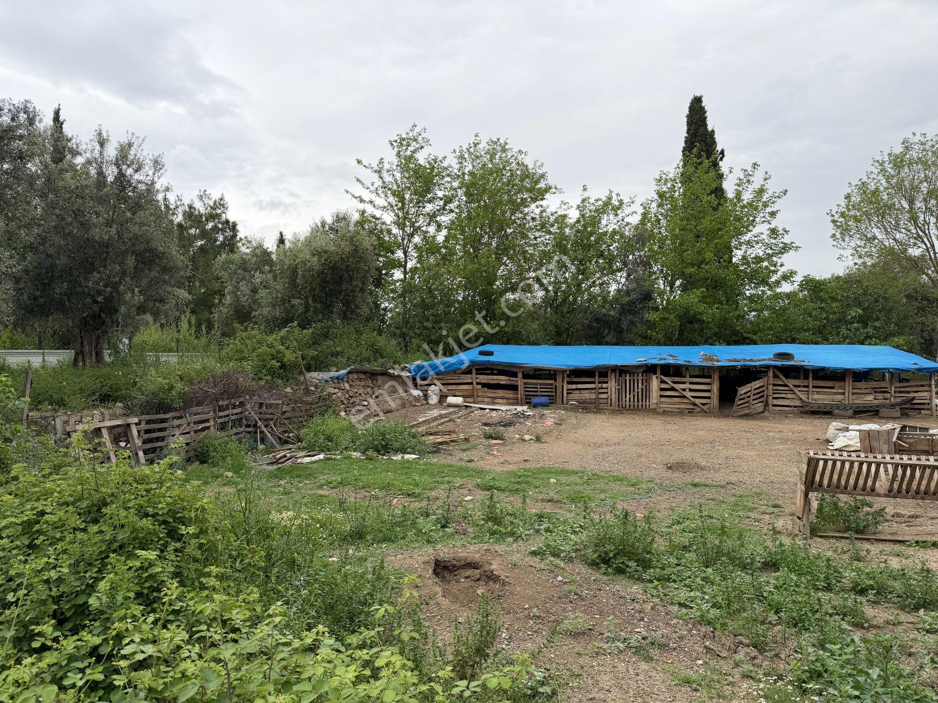 Mera Emlaktan Gürede Tam Müstakil 1 Villalık 350m2 İmarlı Arsa - Görsel 28