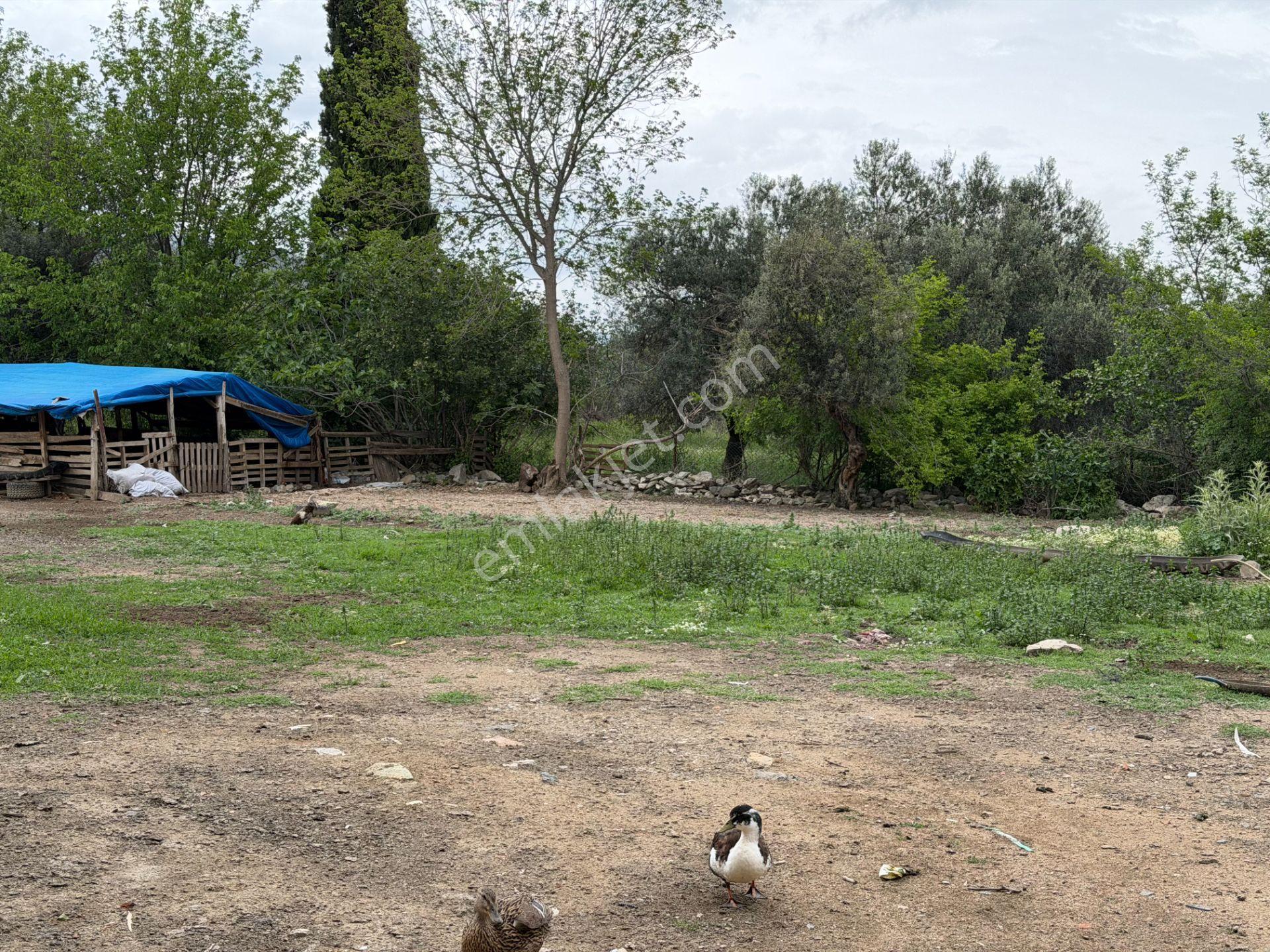 Mera Emlaktan Gürede Tam Müstakil 1 Villalık 350m2 İmarlı Arsa - Görsel 9