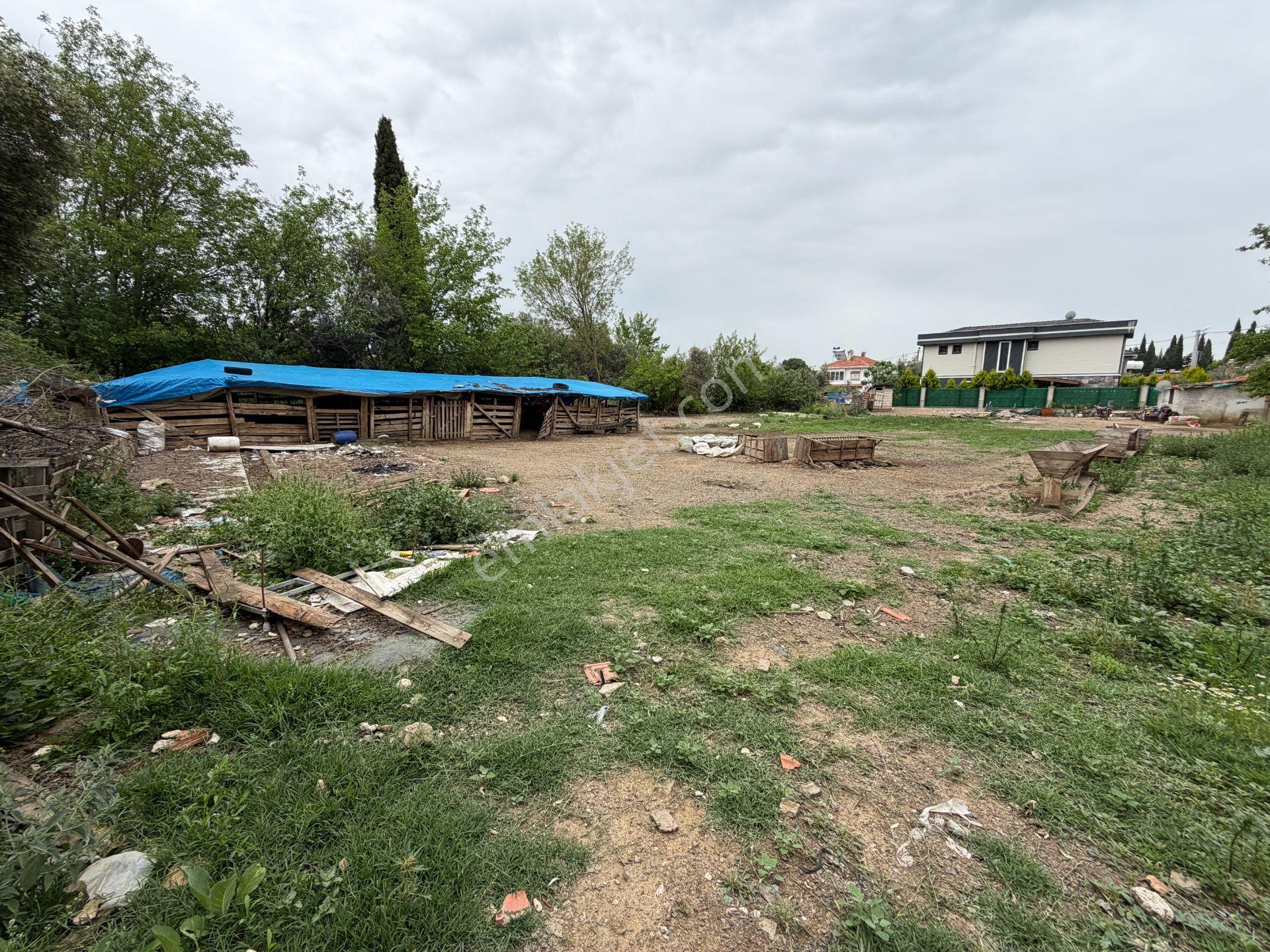 Mera Emlaktan Gürede Tam Müstakil 1 Villalık 350m2 İmarlı Arsa - Görsel 31