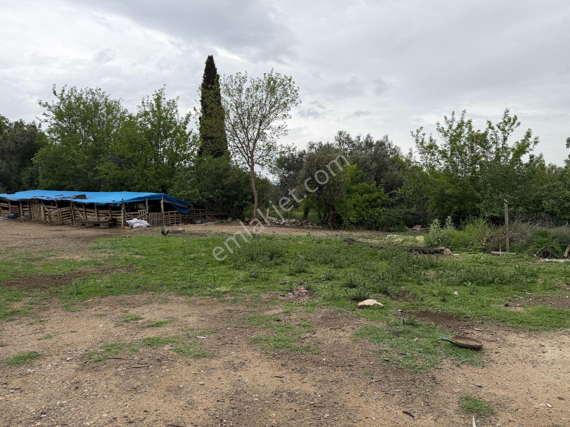 Mera Emlaktan Gürede Tam Müstakil 1 Villalık 350m2 İmarlı Arsa - Görsel 18