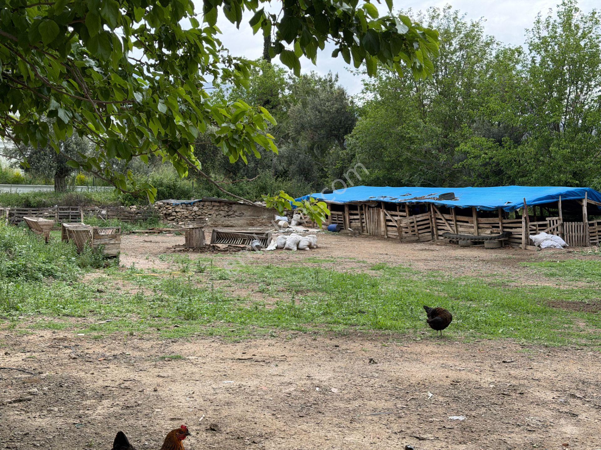 Mera Emlaktan Gürede Tam Müstakil 1 Villalık 350m2 İmarlı Arsa - Görsel 10