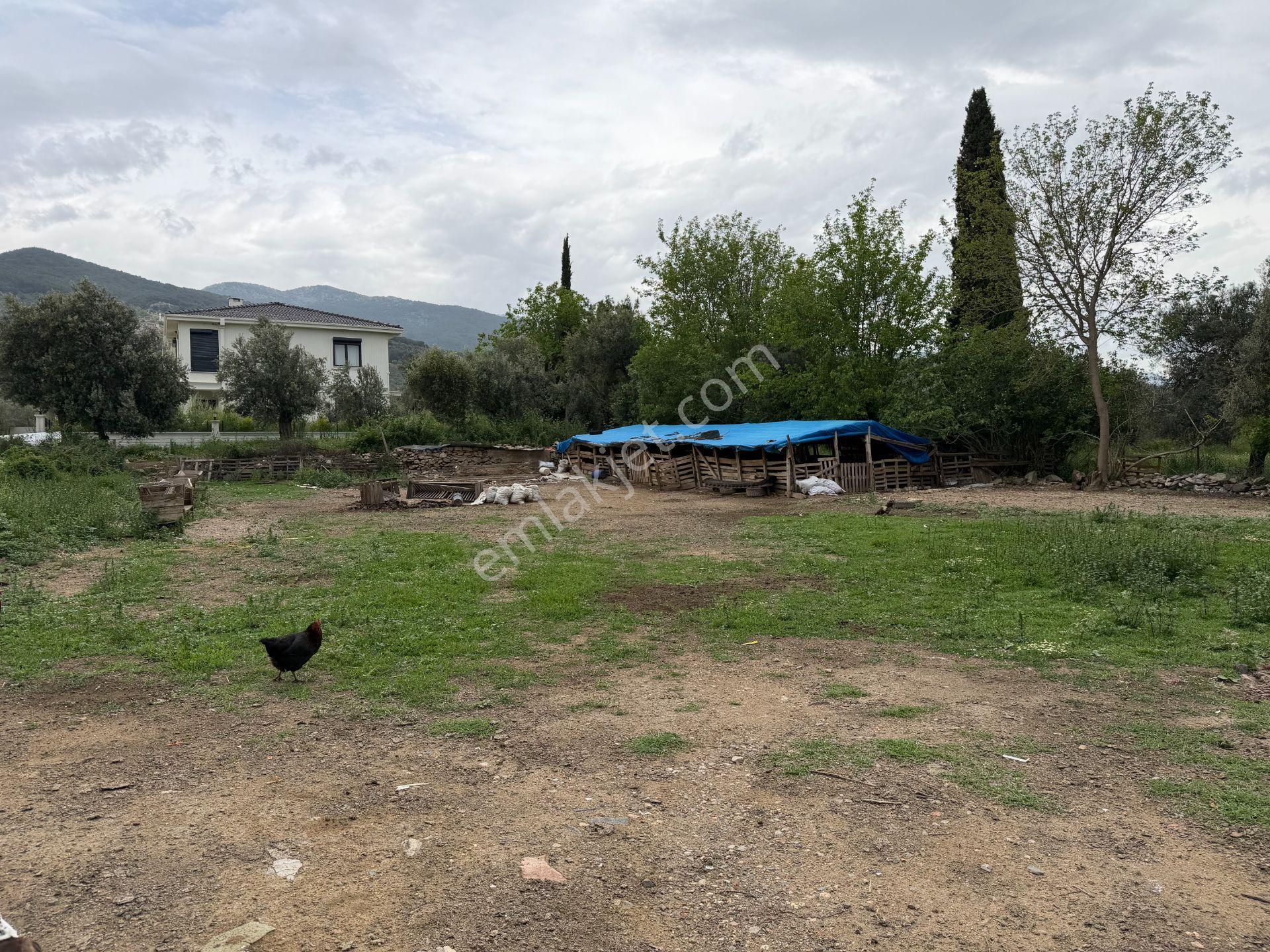 Mera Emlaktan Gürede Tam Müstakil 1 Villalık 350m2 İmarlı Arsa - Görsel 14