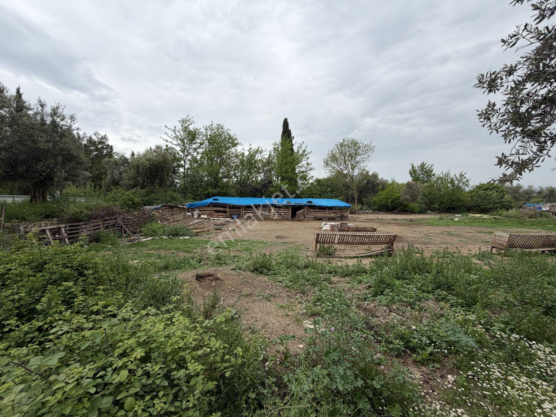 Mera Emlaktan Gürede Tam Müstakil 1 Villalık 350m2 İmarlı Arsa - Görsel 24