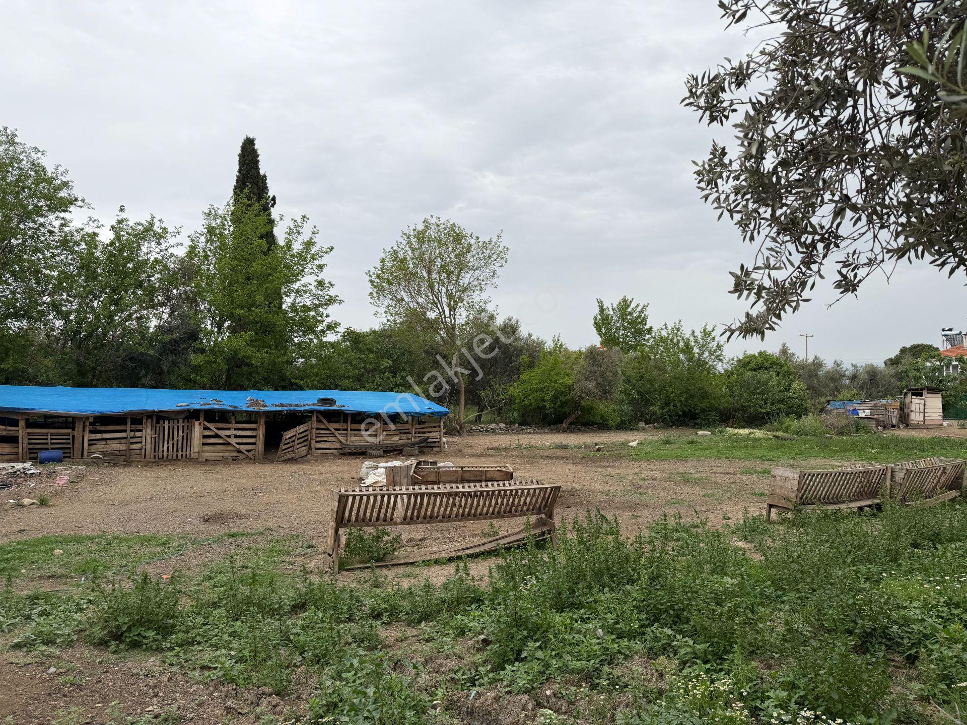 Mera Emlaktan Gürede Tam Müstakil 1 Villalık 350m2 İmarlı Arsa - Görsel 29