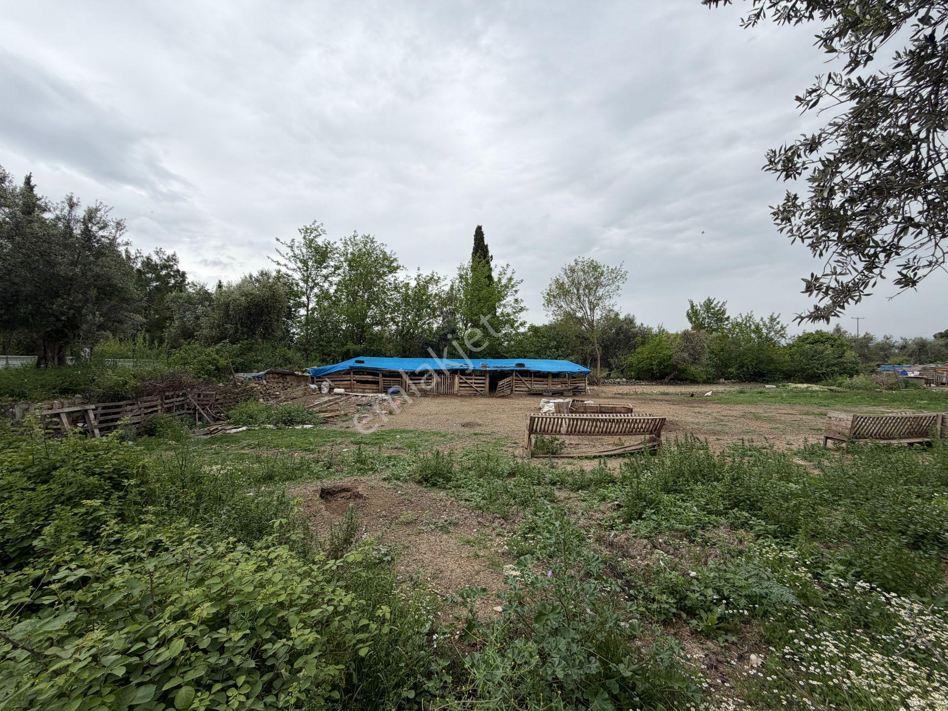 Mera Emlaktan Gürede Tam Müstakil 1 Villalık 350m2 İmarlı Arsa - Görsel 30