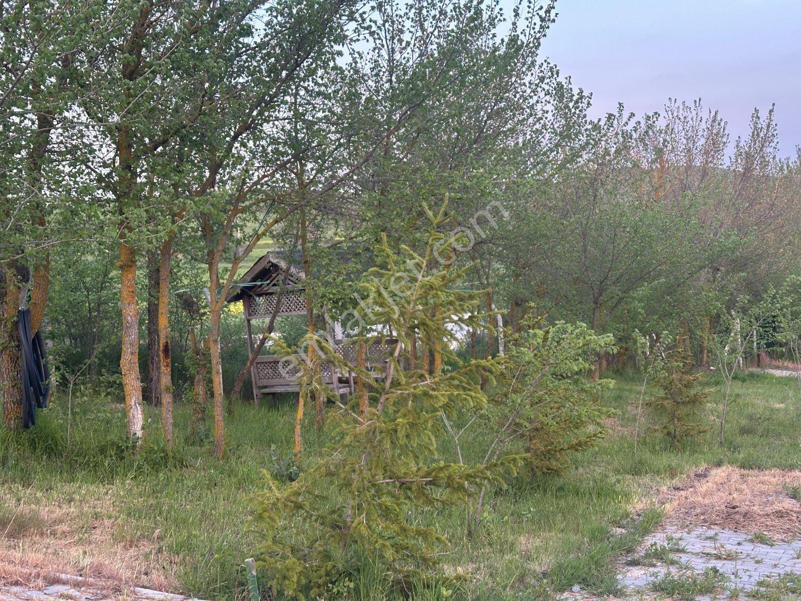 Rw Nestten Zemzemiye'de Satılık Yola Sıfır Bahçe 3827m2 - Görsel 22