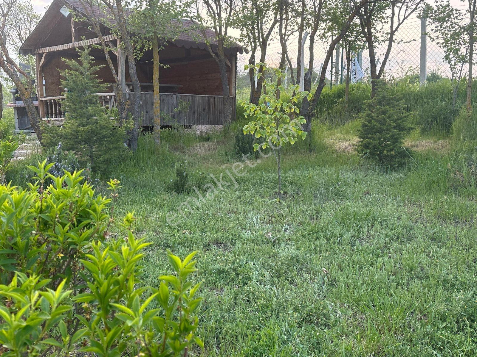 Rw Nestten Zemzemiye'de Satılık Yola Sıfır Bahçe 3827m2 - Görsel 4