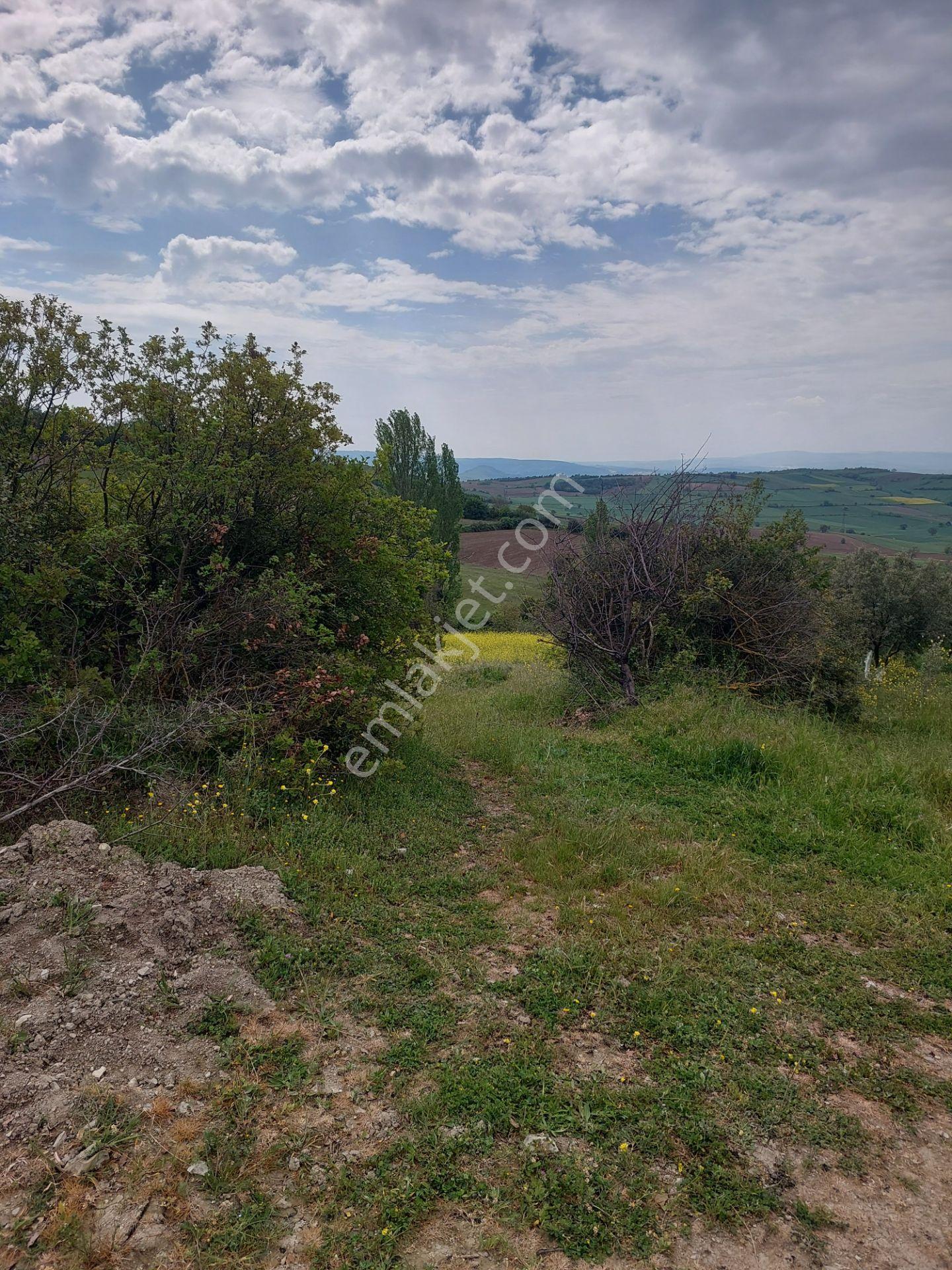 Yenişehir Kızılköyde Acil Satılık Yapıya Uygun 4950m2 Tarla - Görsel 24