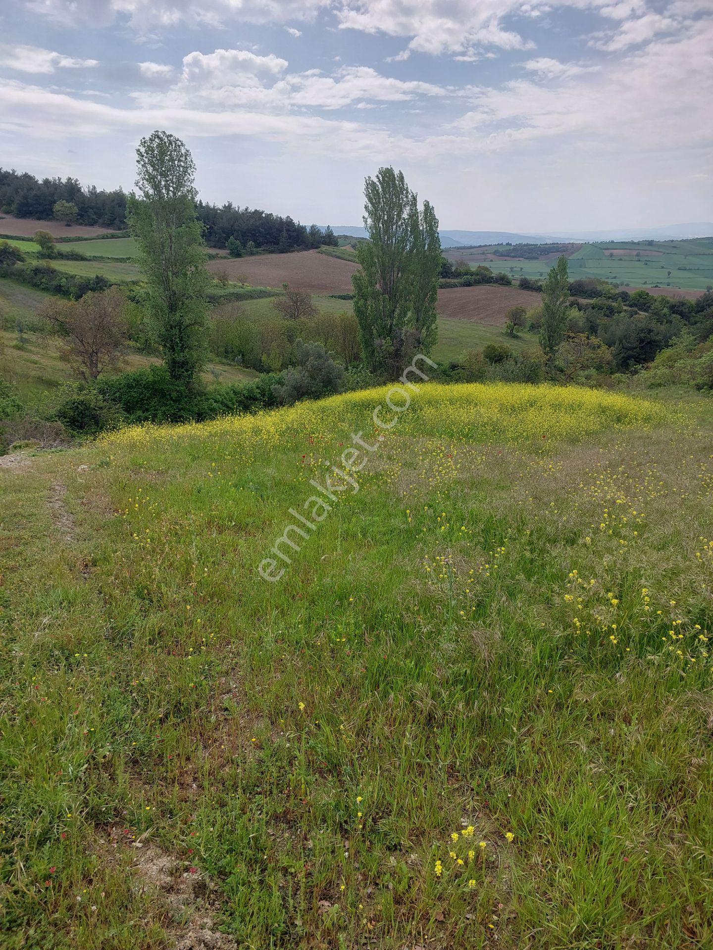 Yenişehir Kızılköyde Acil Satılık Yapıya Uygun 4950m2 Tarla - Görsel 20