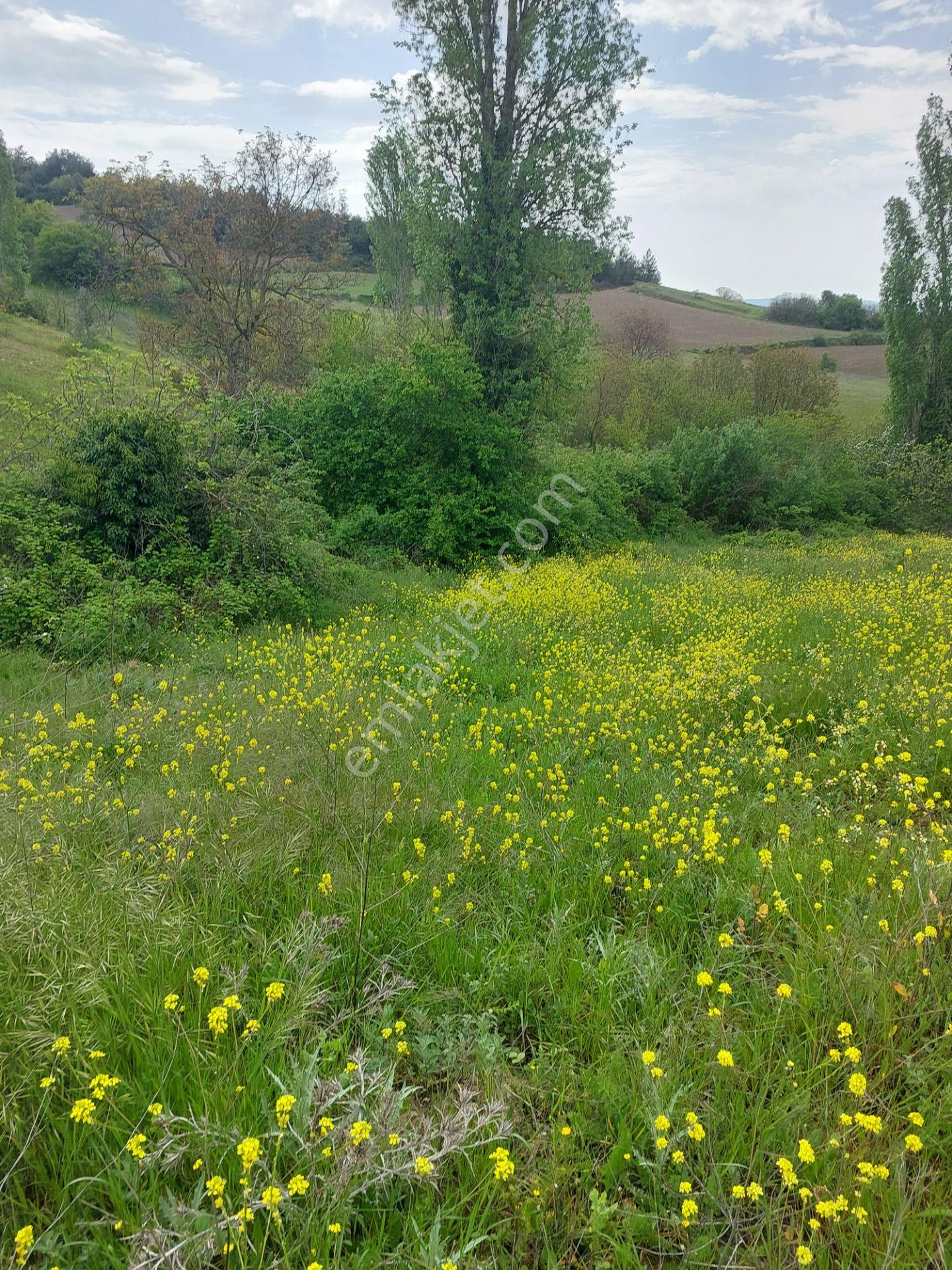 Yenişehir Kızılköyde Acil Satılık Yapıya Uygun 4950m2 Tarla - Görsel 19