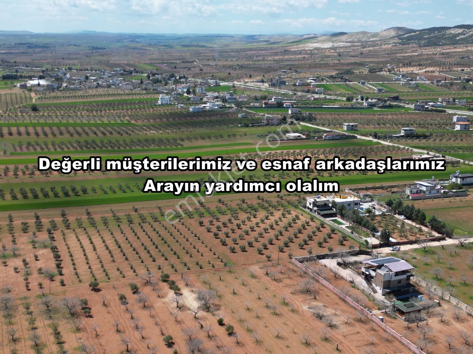 Şahinbey Yağdöver De 480 Adet Fıstık 2 Ton, Resmi Yol, Elektirik - Görsel 5
