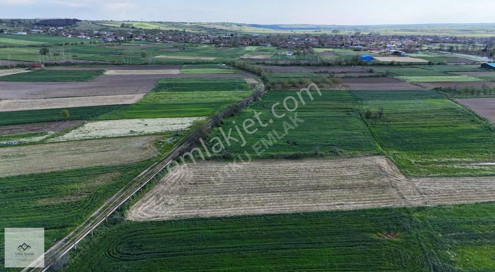 Babaeski Karahalil De 2000 M2 Belde Dibi Satılık Tarla - Görsel 6