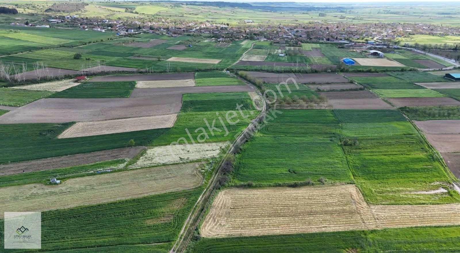 Babaeski Karahalil De 2000 M2 Belde Dibi Satılık Tarla - Görsel 9