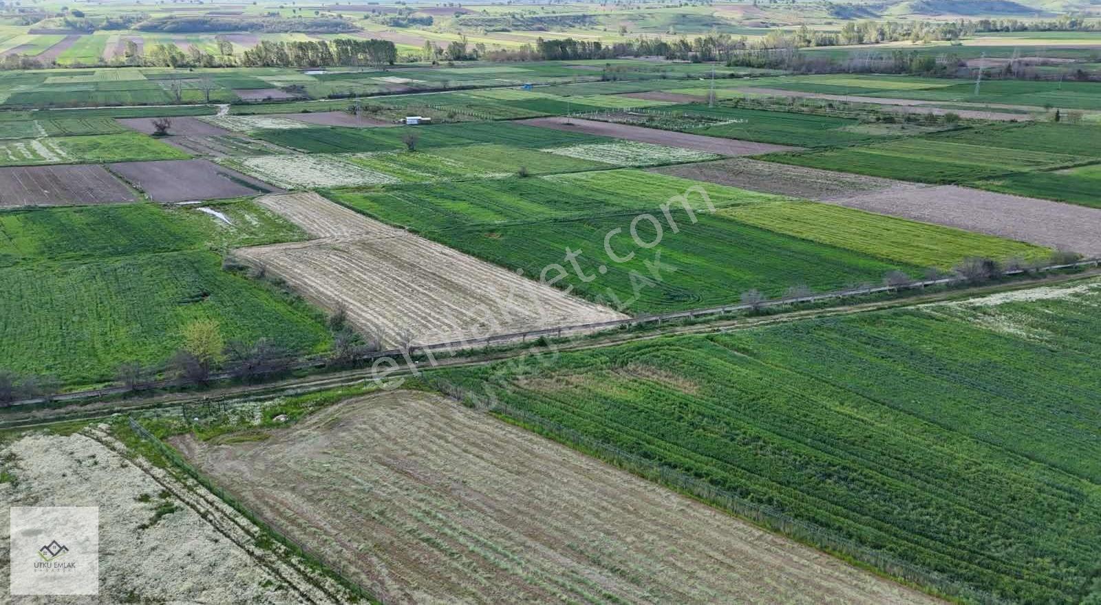 Babaeski Karahalil De 2000 M2 Belde Dibi Satılık Tarla - Görsel 2