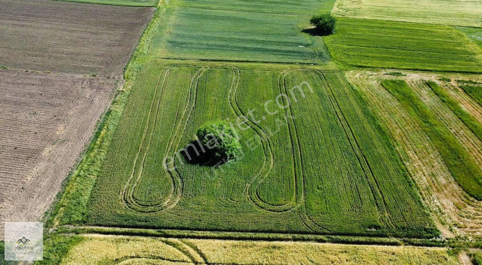 Babaeski Karahalil/ Birlikte 5072 M2 Satılık Tarla - Görsel 4