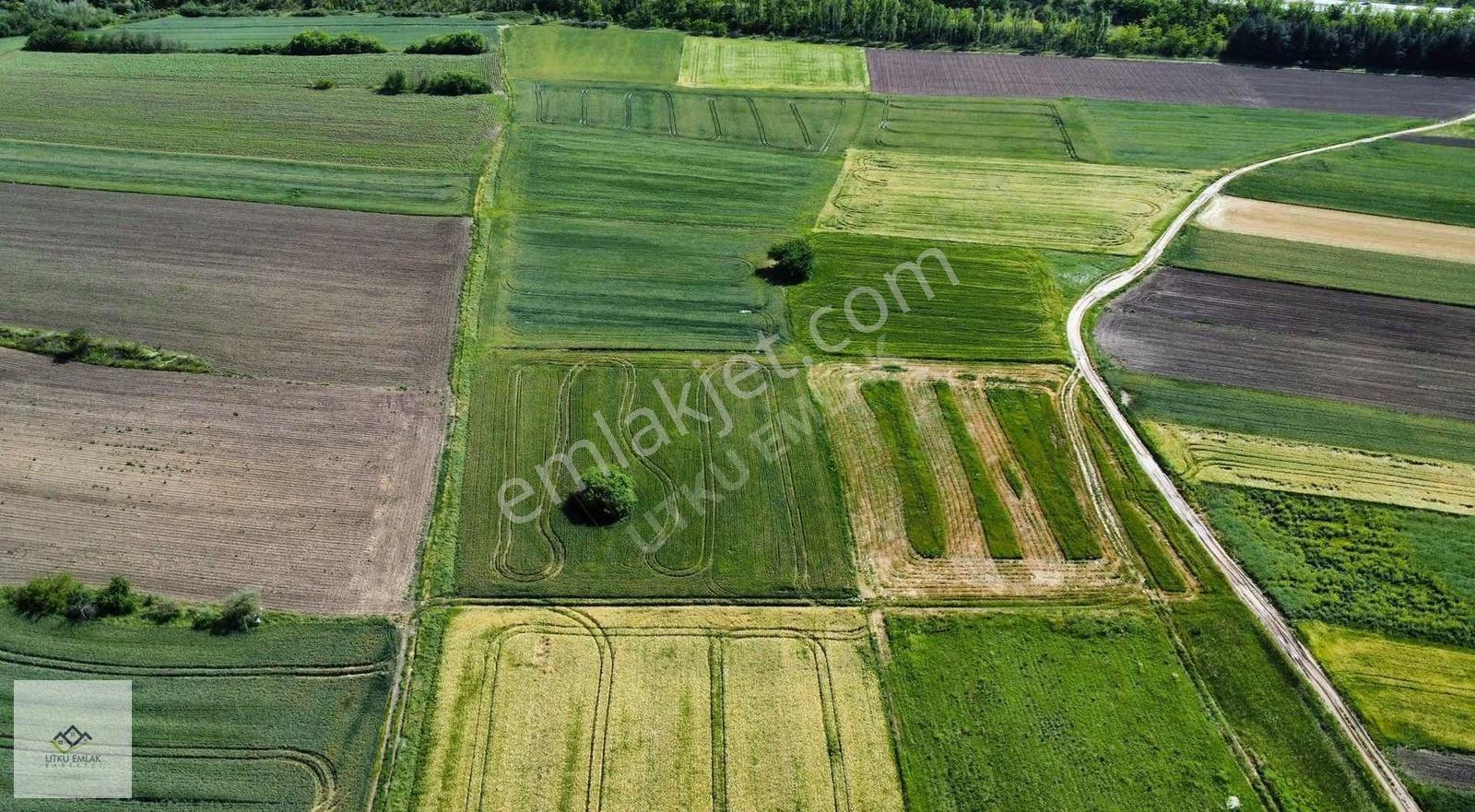 Babaeski Karahalil/ Birlikte 5072 M2 Satılık Tarla - Görsel 8