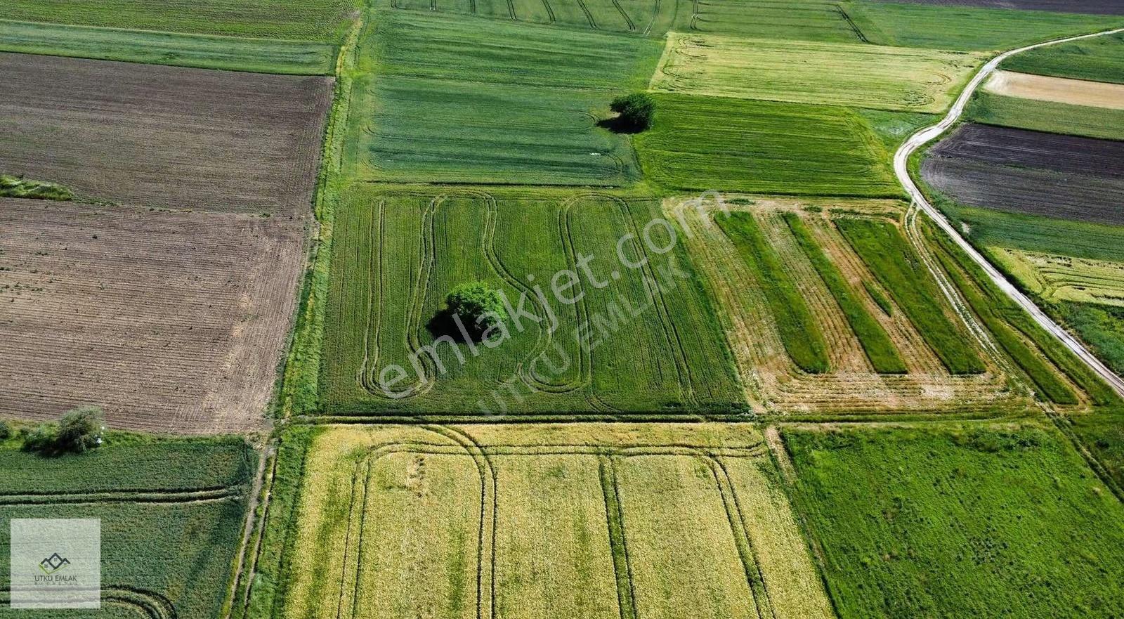 Babaeski Karahalil/ Birlikte 5072 M2 Satılık Tarla - Görsel 5