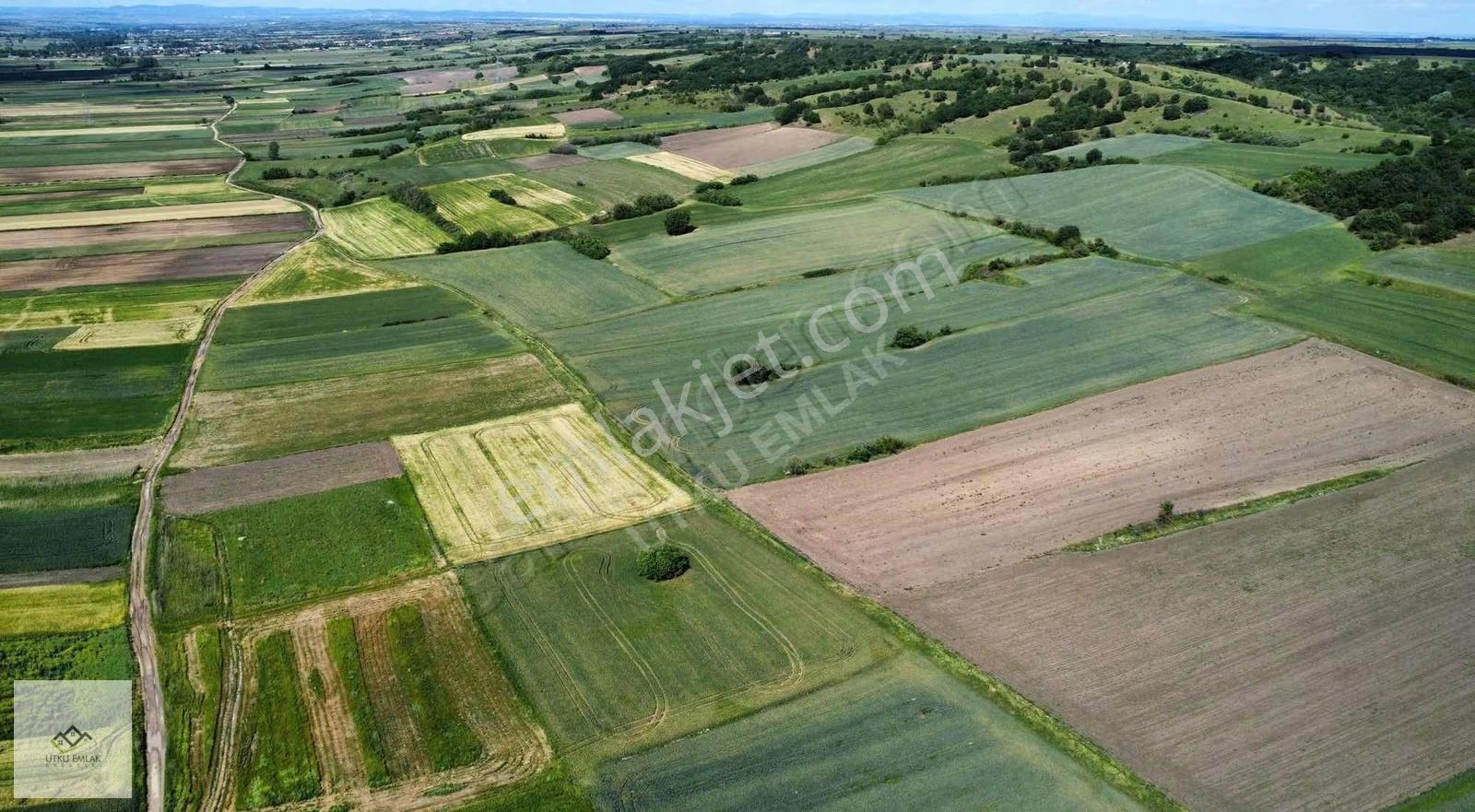 Babaeski Karahalil/ Birlikte 5072 M2 Satılık Tarla - Görsel 2