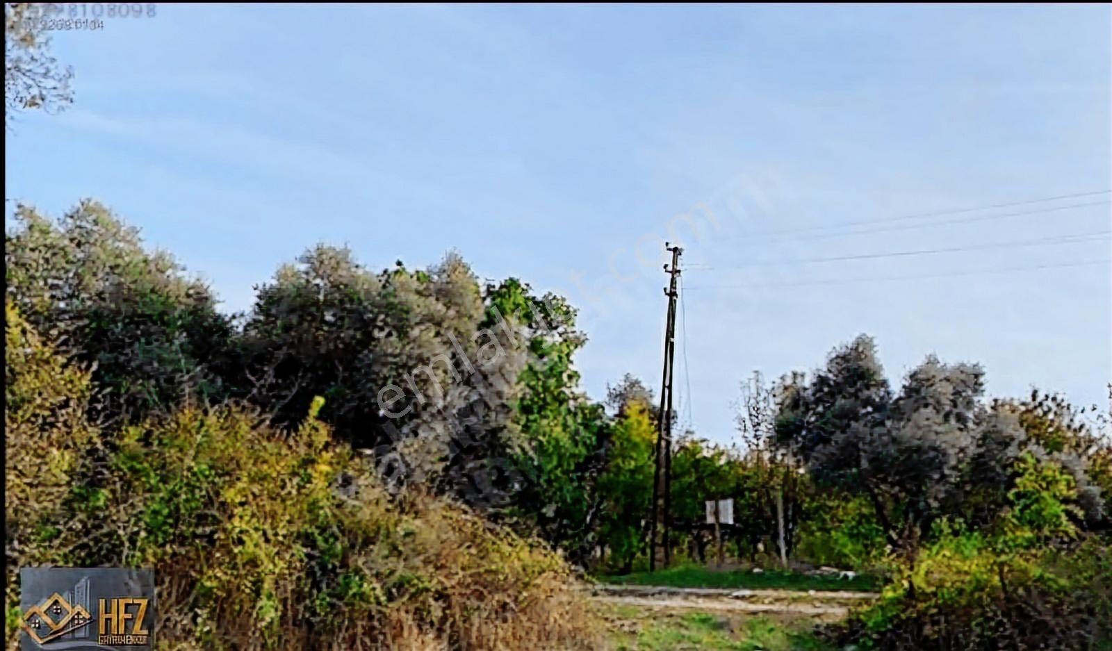 Muğla Ula İlçesi 3.878m2 Arazi Satılık - Görsel 6