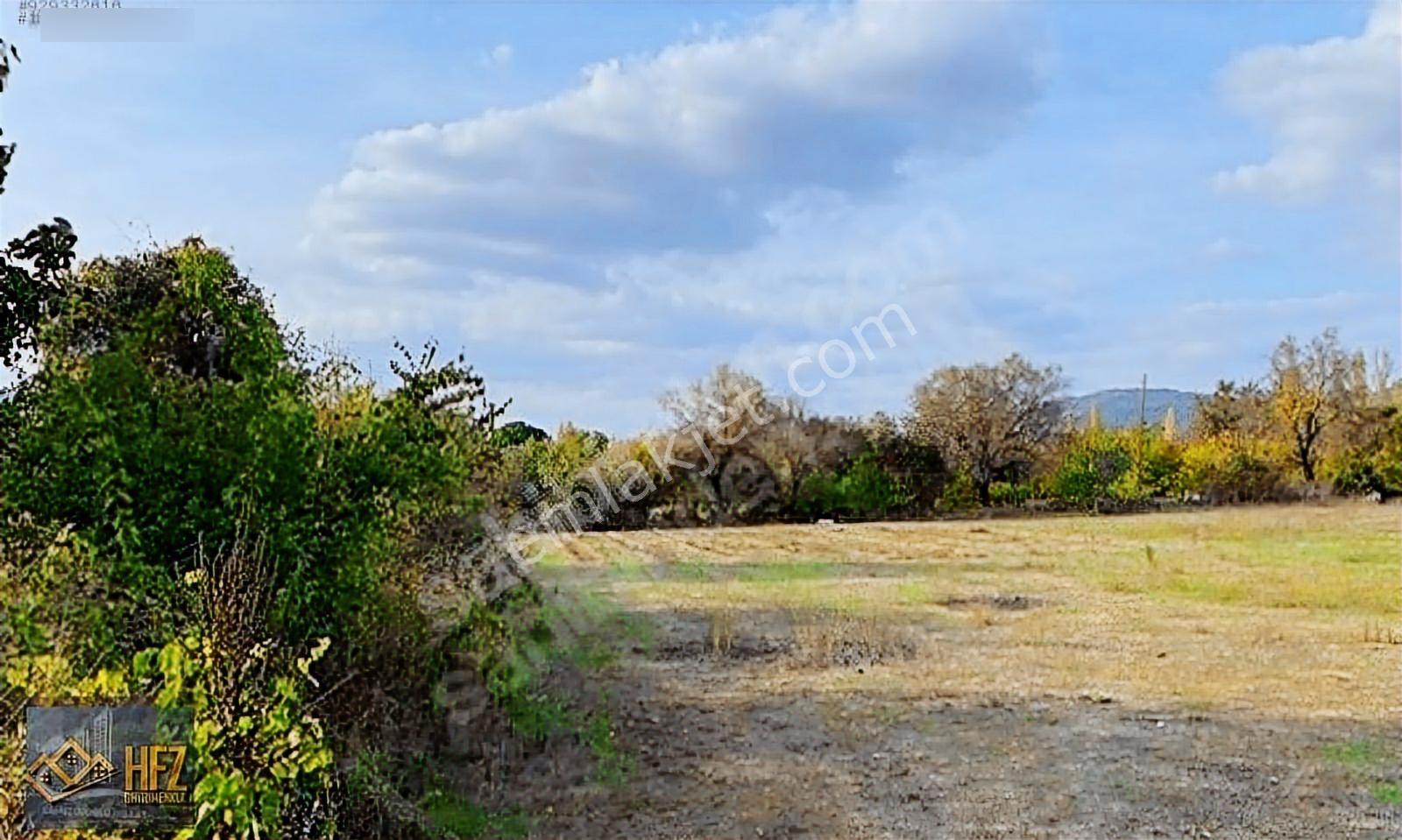 Muğla Ula İlçesi 3.878m2 Arazi Satılık - Görsel 7