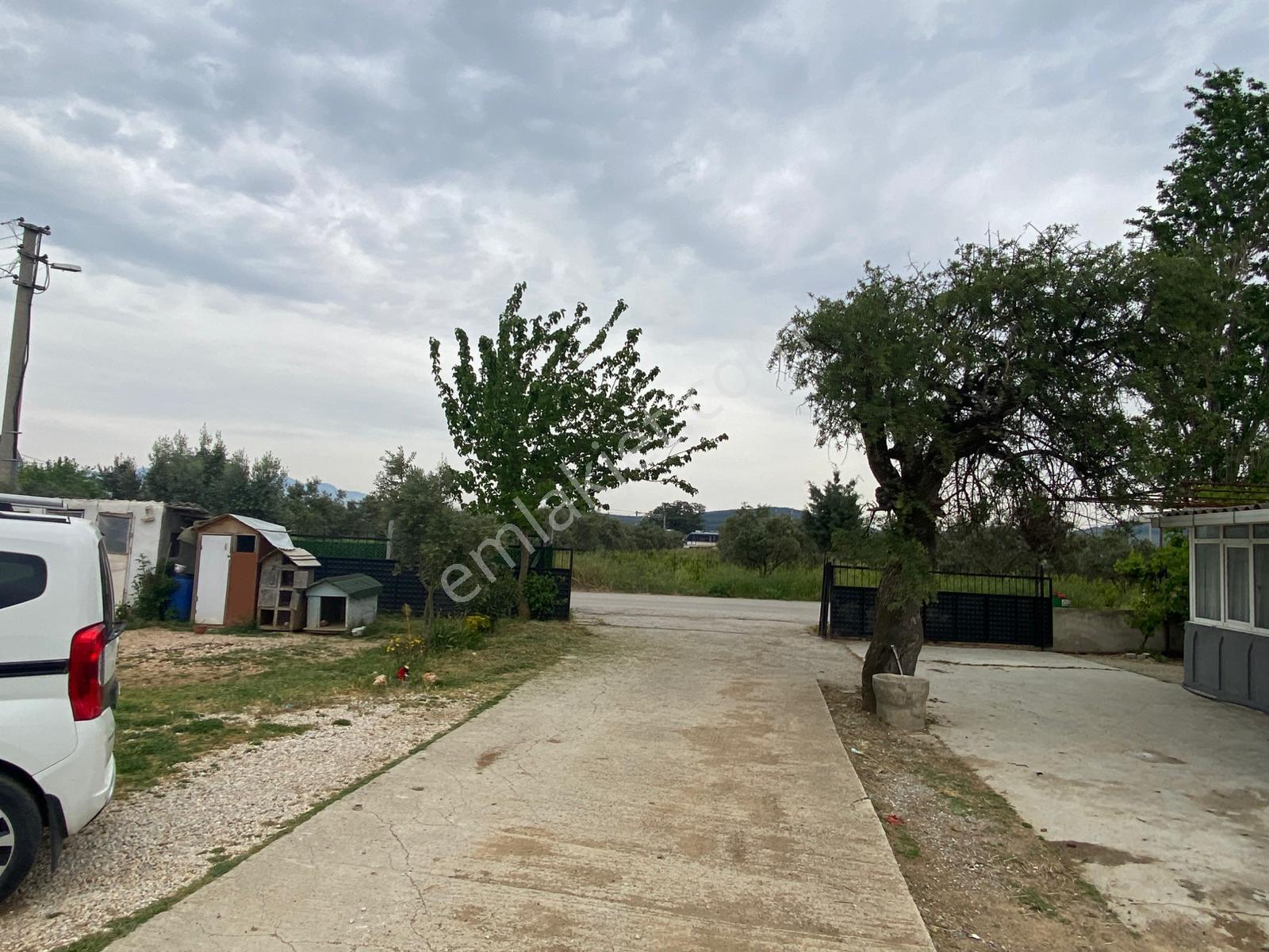 Menderes Altıntepe Mah.de Tek Tapulu 3664m2 İçerisinde Hazır Evi Olan Süper Satılık Bağ Bahçe(tarla) - Görsel 14