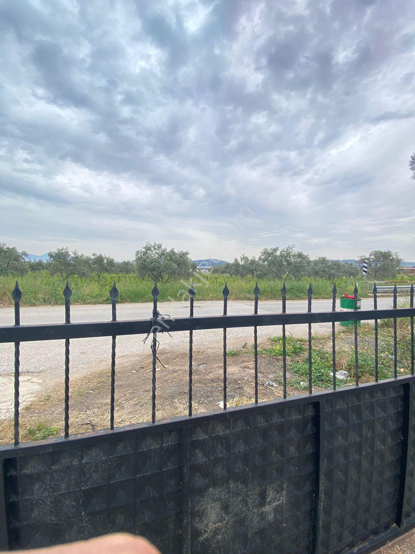 Menderes Altıntepe Mah.de Tek Tapulu 3664m2 İçerisinde Hazır Evi Olan Süper Satılık Bağ Bahçe(tarla) - Görsel 18