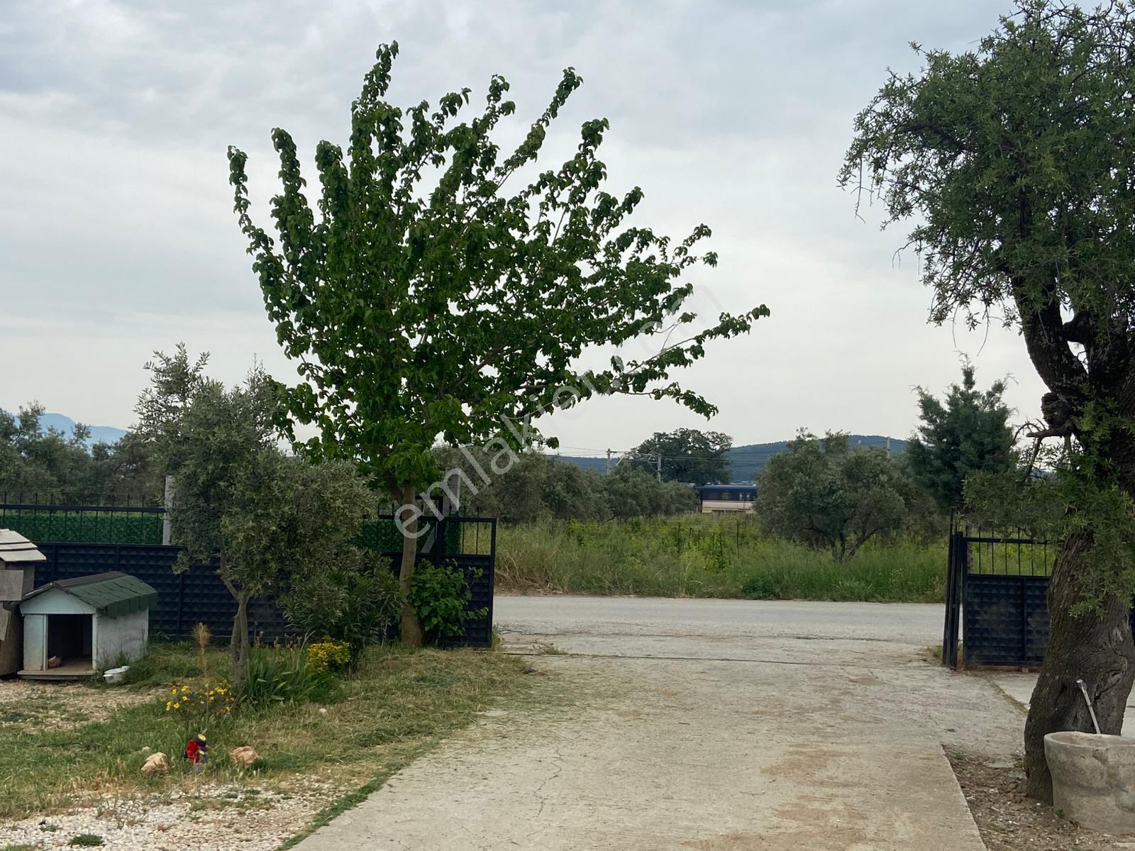 Menderes Altıntepe Mah.de Tek Tapulu 3664m2 İçerisinde Hazır Evi Olan Süper Satılık Bağ Bahçe(tarla) - Görsel 15