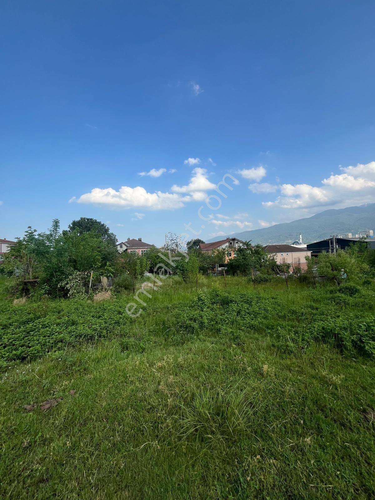 Kartepe Sarımeşede Önü Açık Villa İmarlı 511 M² Satılık Arsa - Görsel 16