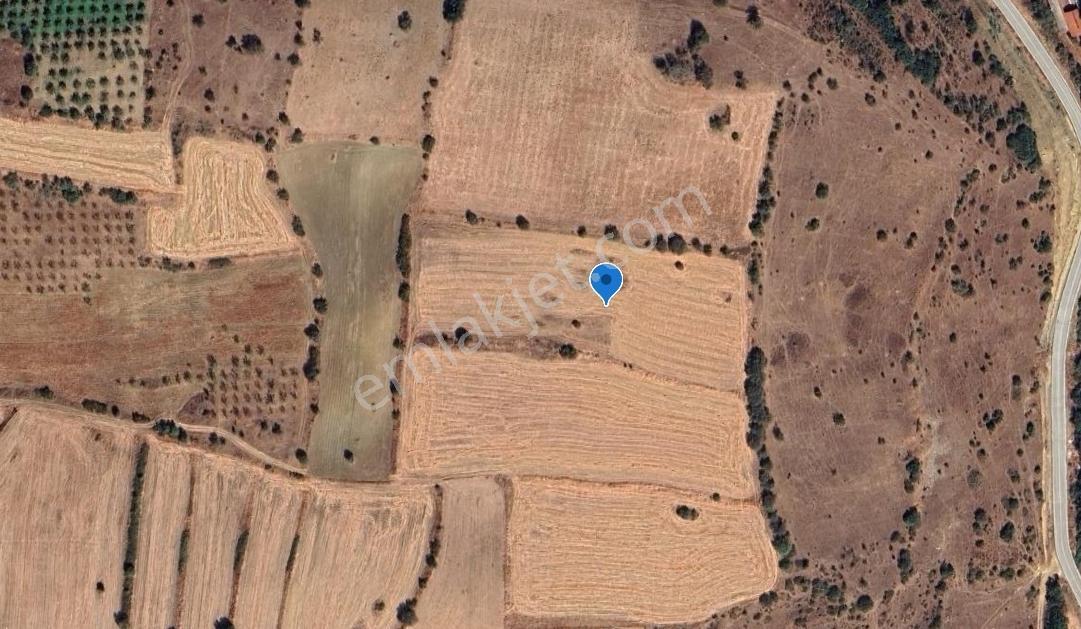Mir'den Balıkesir Kepsut Kasapzade'de 10.344 M2 Satılık Tarla - Görsel 16