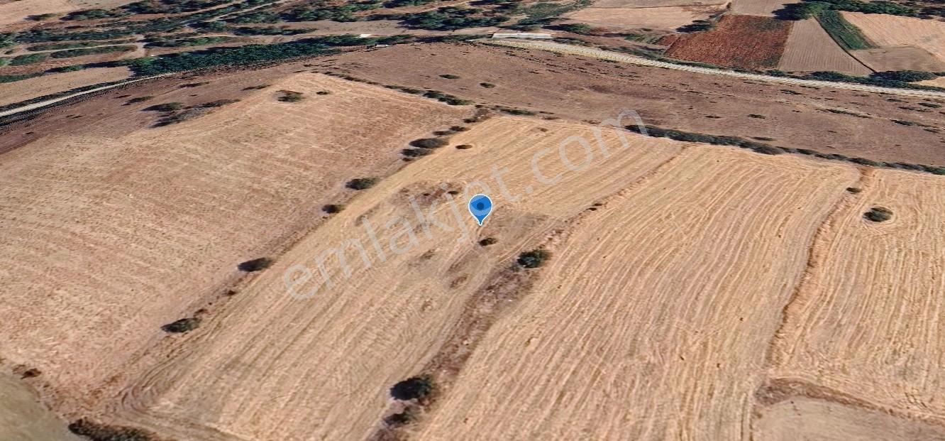 Mir'den Balıkesir Kepsut Kasapzade'de 10.344 M2 Satılık Tarla - Görsel 9