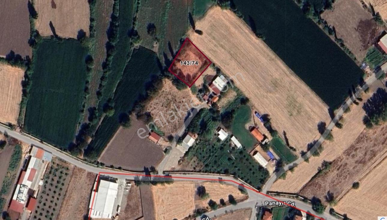 Mir'den Balıkesir Kepsut Camicedit Mah. 1568 M2 Satılık Tarla - Görsel 16