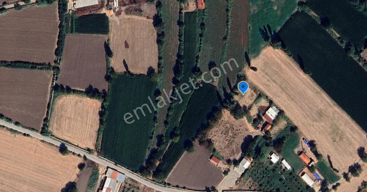 Mir'den Balıkesir Kepsut Camicedit Mah. 1568 M2 Satılık Tarla - Görsel 8